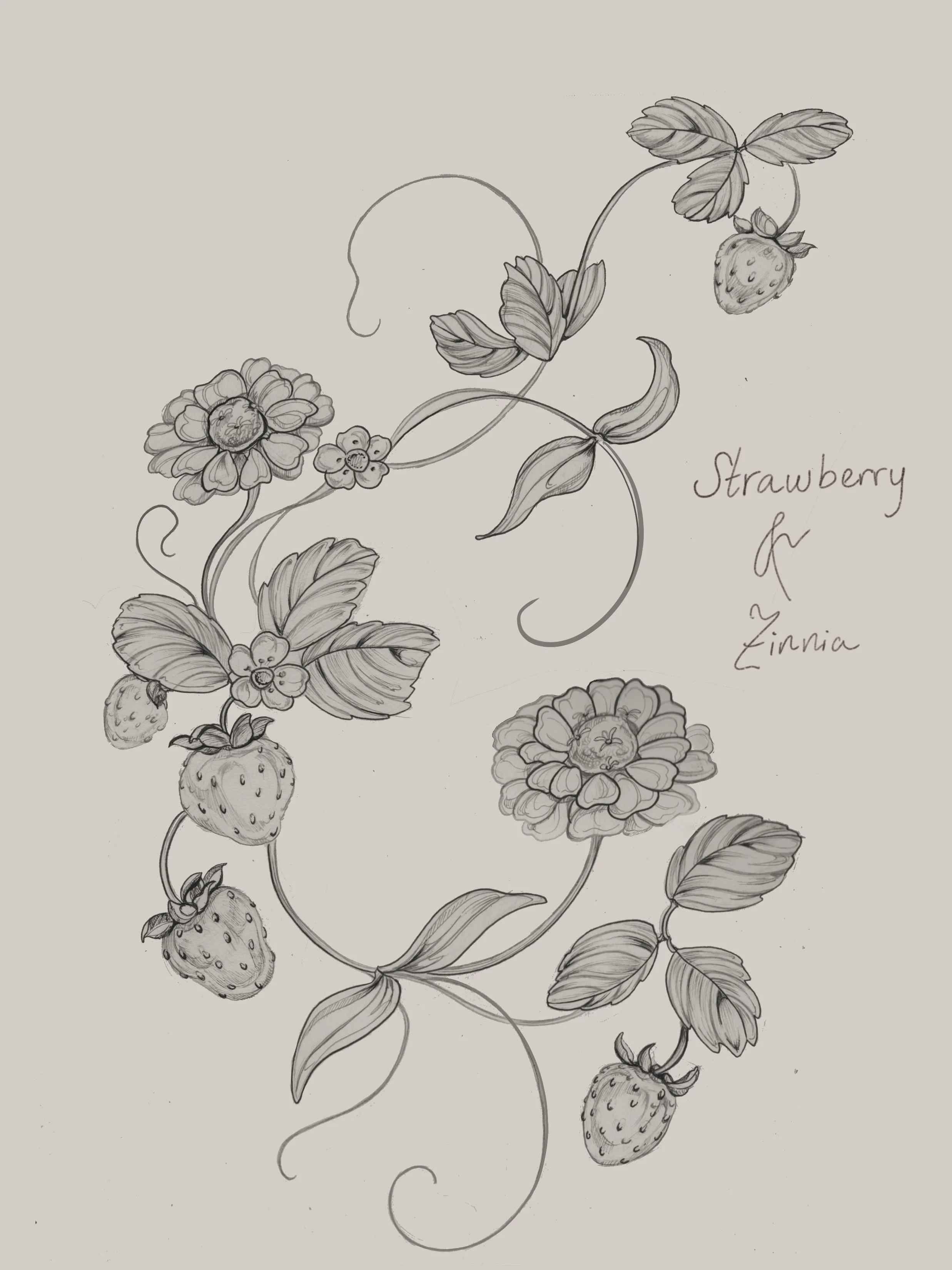 Strawberry and zinnia