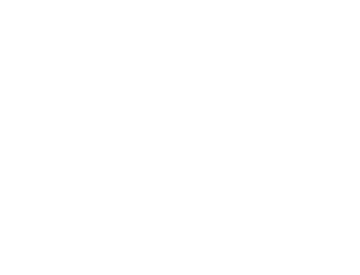 Augsburg 20X_V2