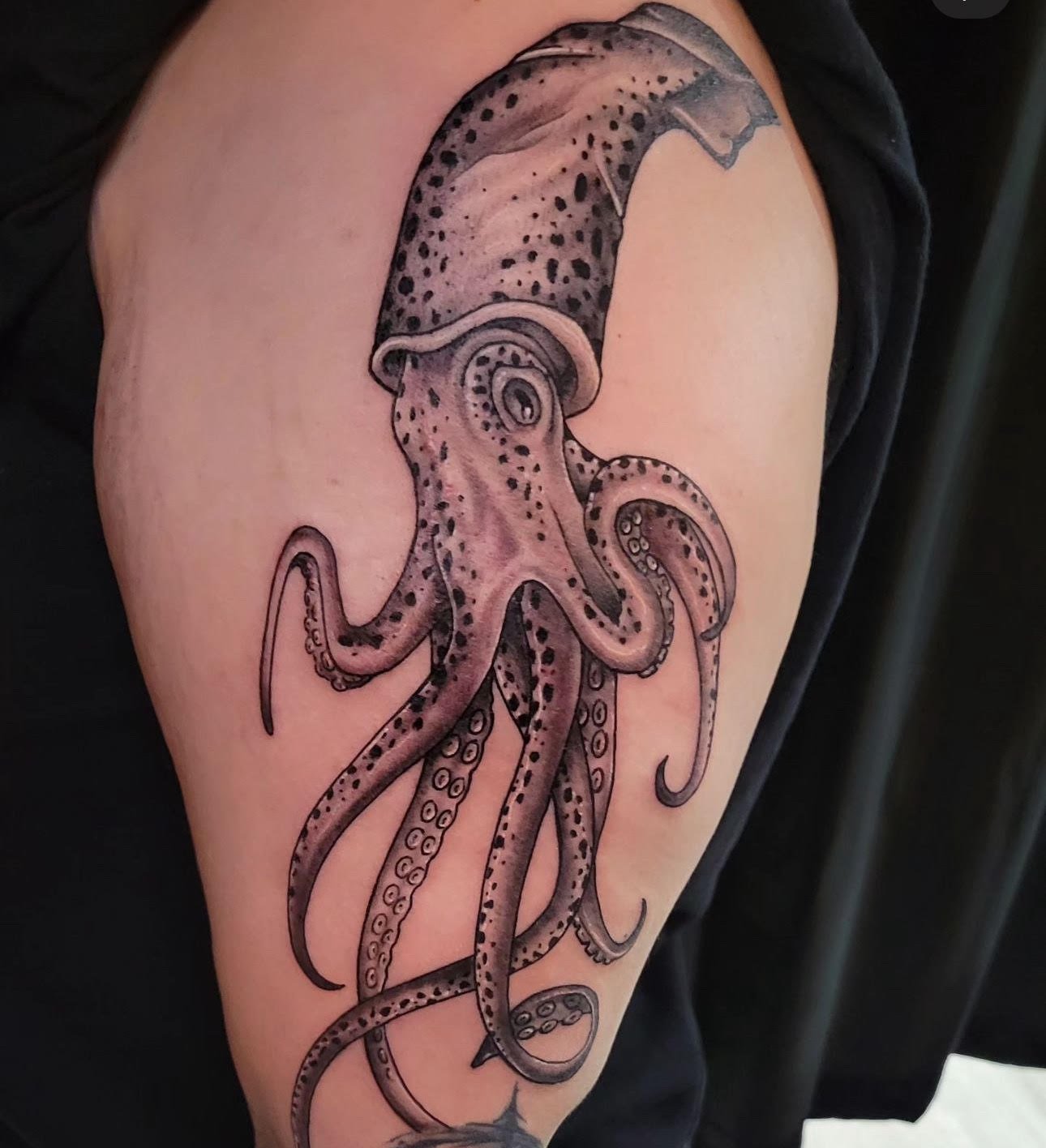 Octopus.jpg
