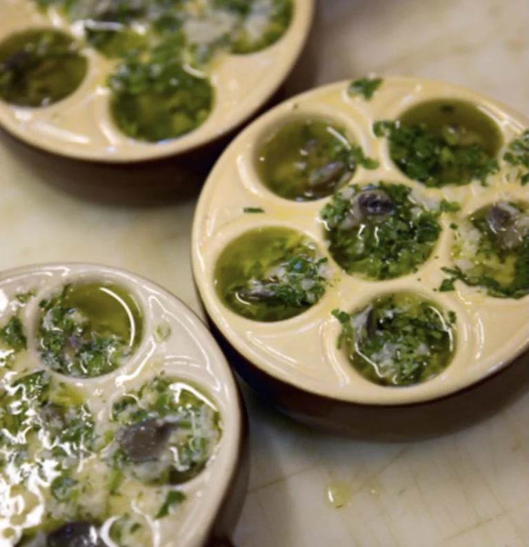 Screen Shot 2022-10-30 at 2.45.48 PM.jpeg