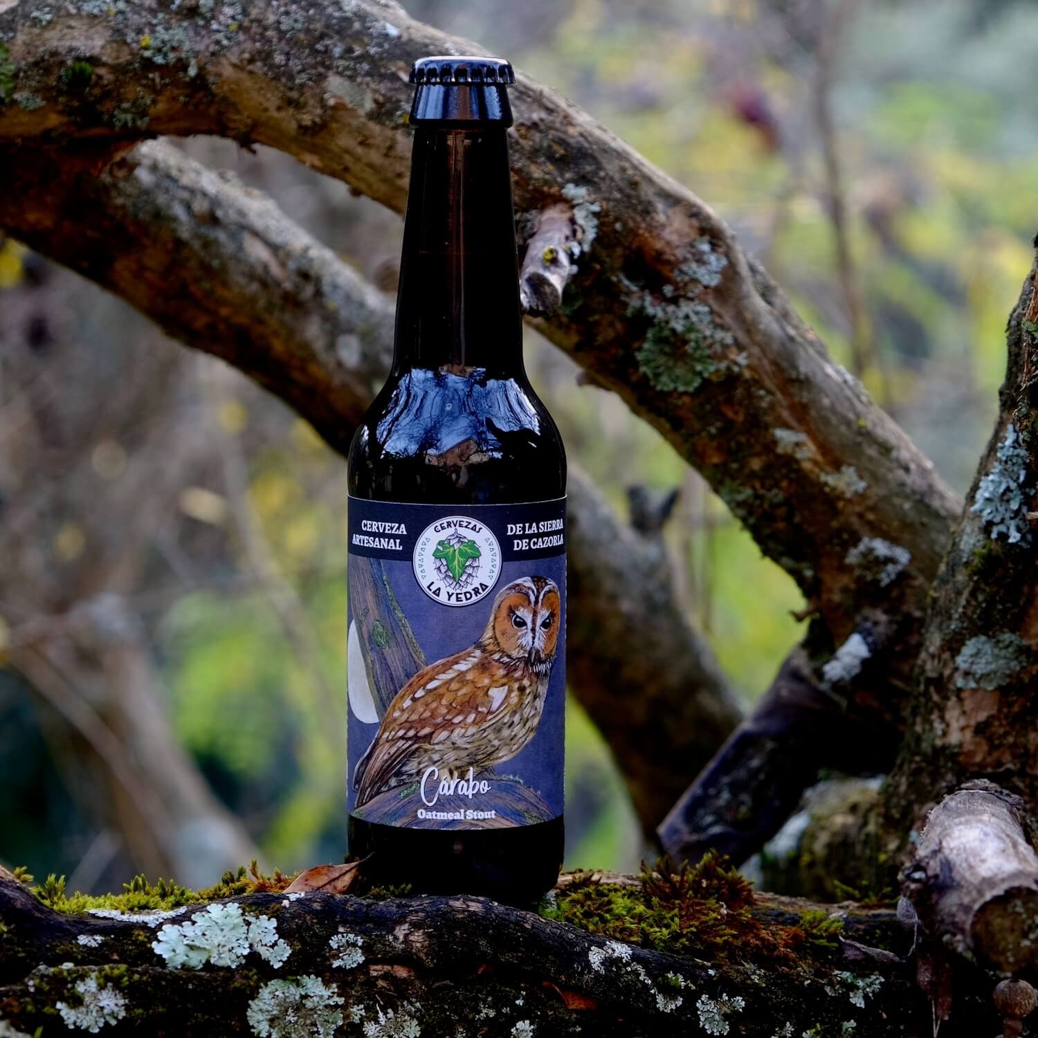 Foto_presentacion_Carabo_Oatmeal-Stout.jpeg