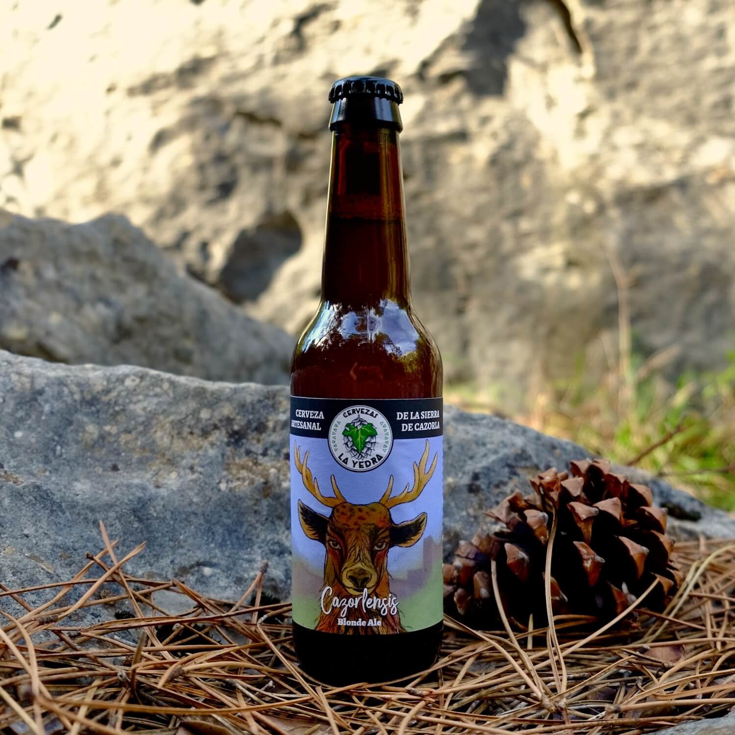 Foto_presentacion_Cazorlensis_Blonde-Ale.jpeg