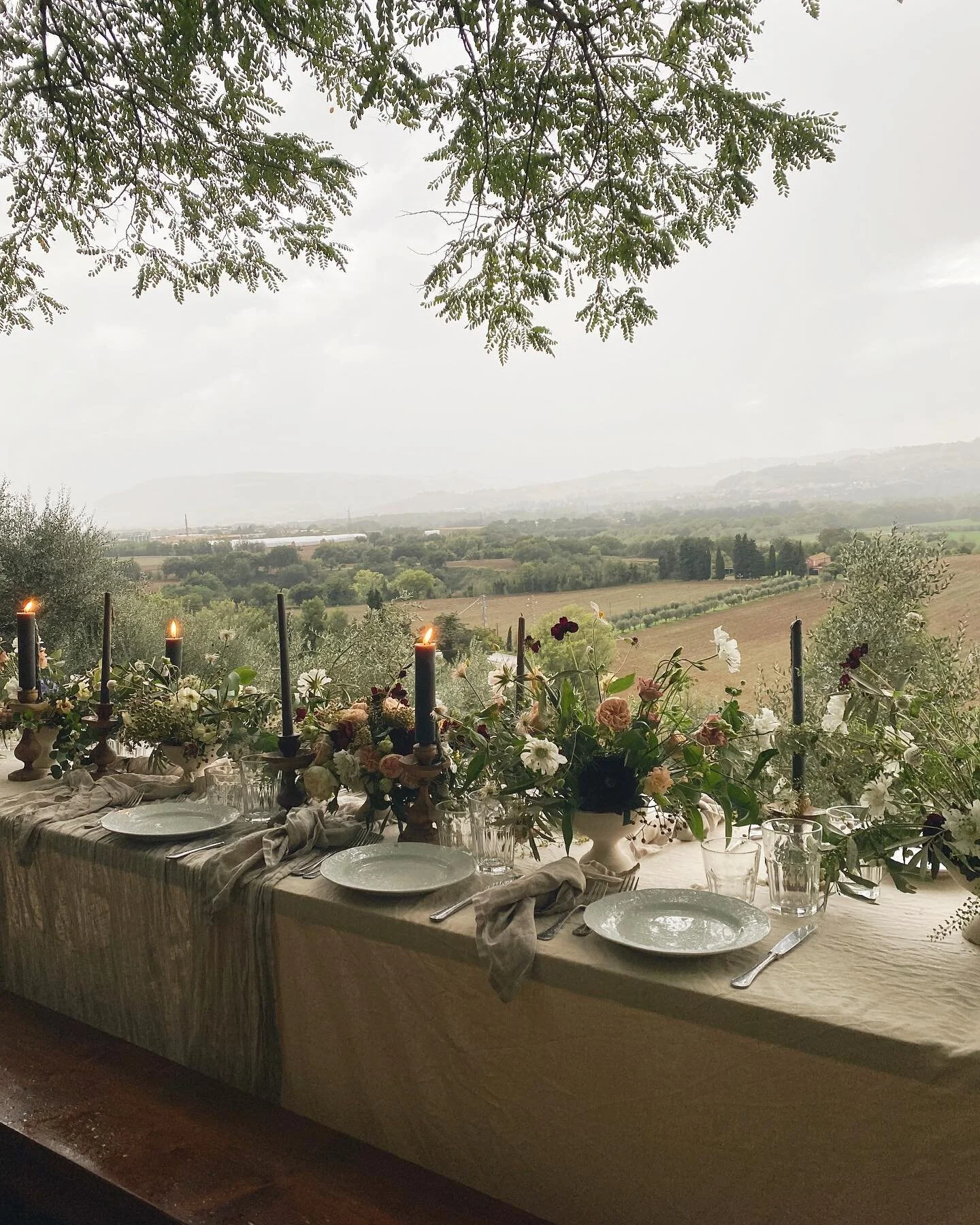 More from the olive grove with @villa_tombolina, @beauty.in.reverie, @themintgardener and @_karamercer