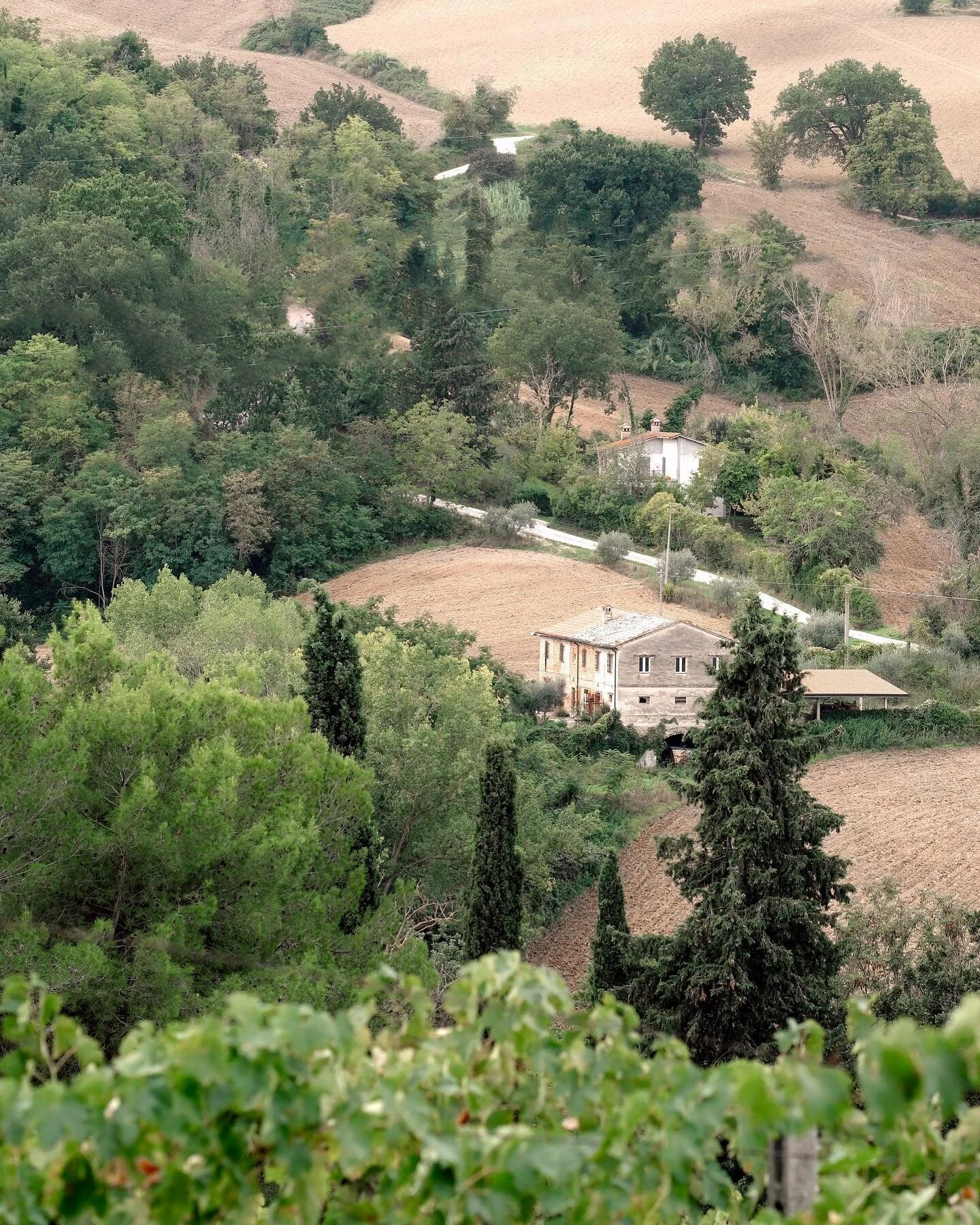Villa views at our Le Marche Reverie retreat @villa_tombolina ♡