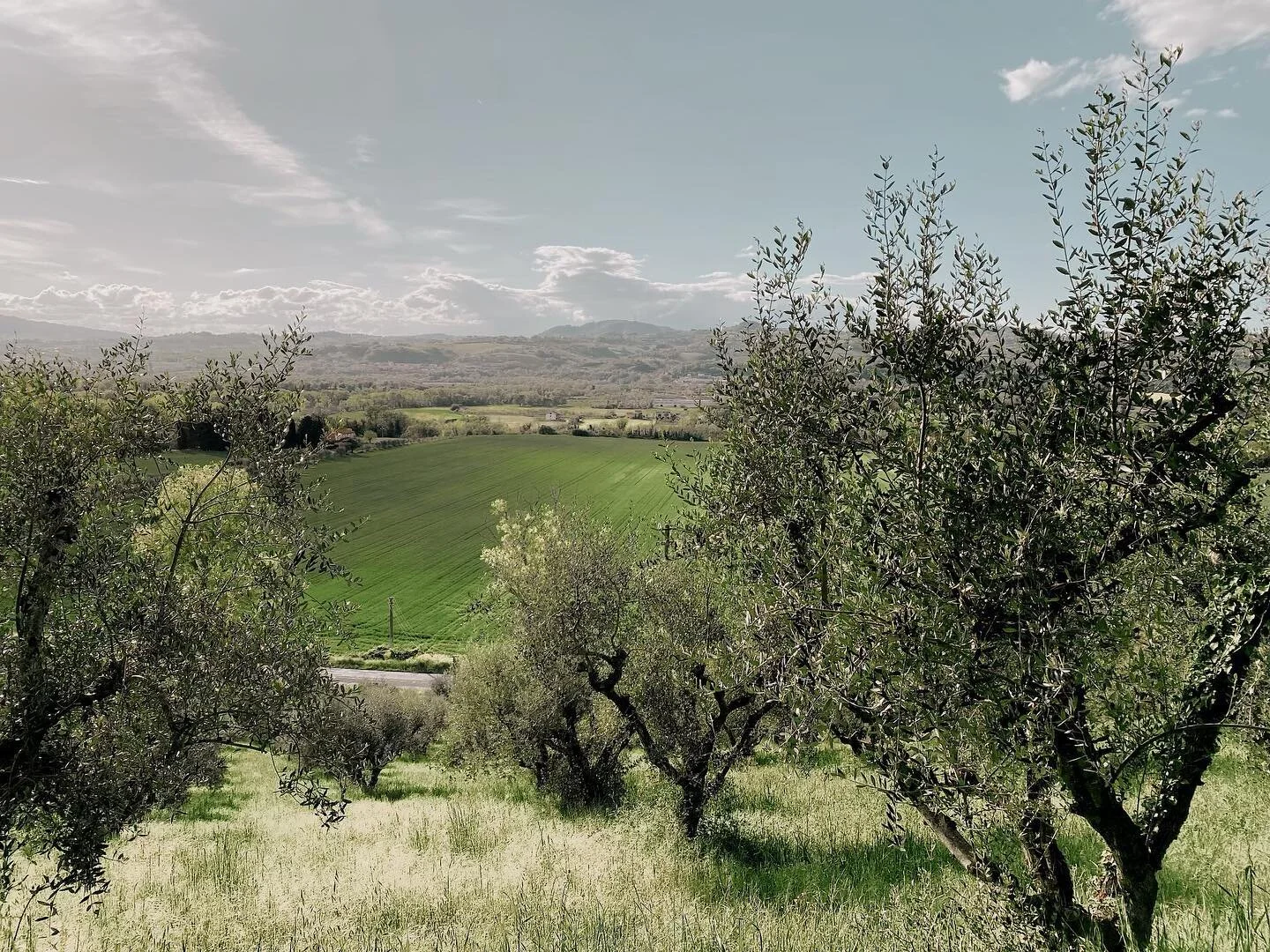 Only slightly excited about what our September in Italy is shaping up to look like. 
@villa_tombolina @themintgardener @_karamercer @teressajohnson