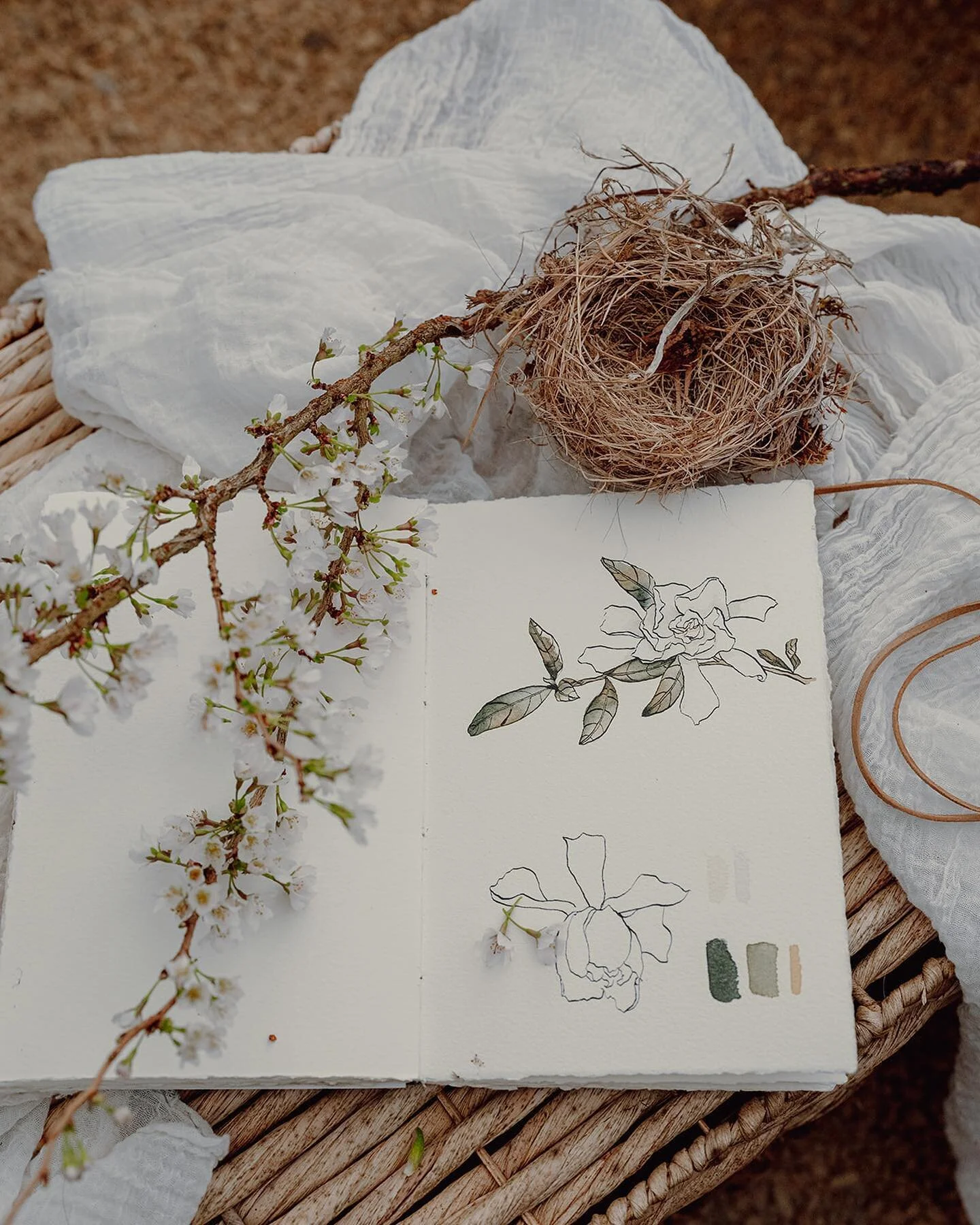 We are making all the plans, getting ready to blend the three talents and share with our friends in the heart of an untapped region of Italy. Flowers, paint, photography&hellip; are they the other three graces? 
Styling: @teressajohnson 
Photography: