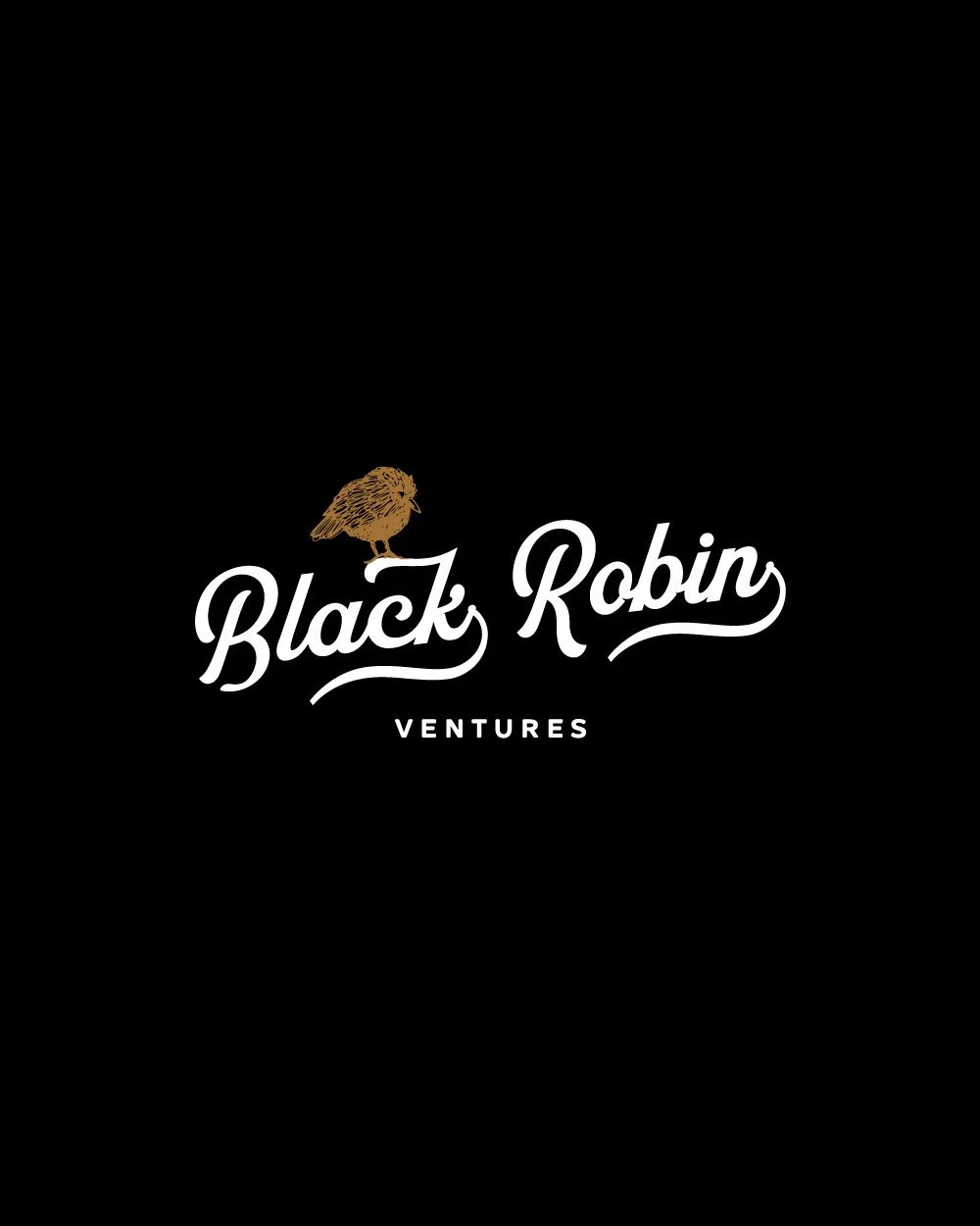 Black Robin Ventures