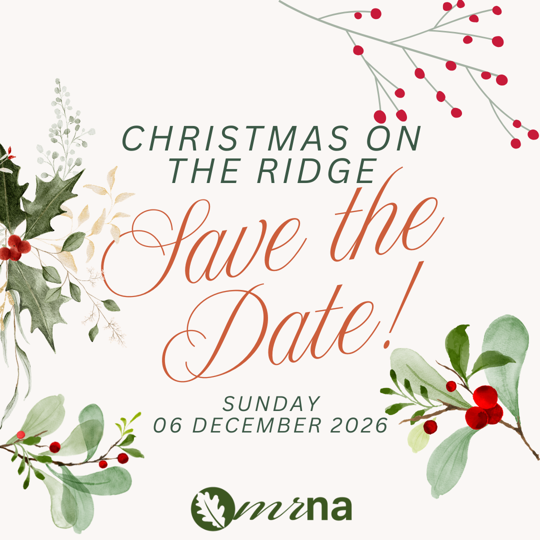 Christmas On The Ridge