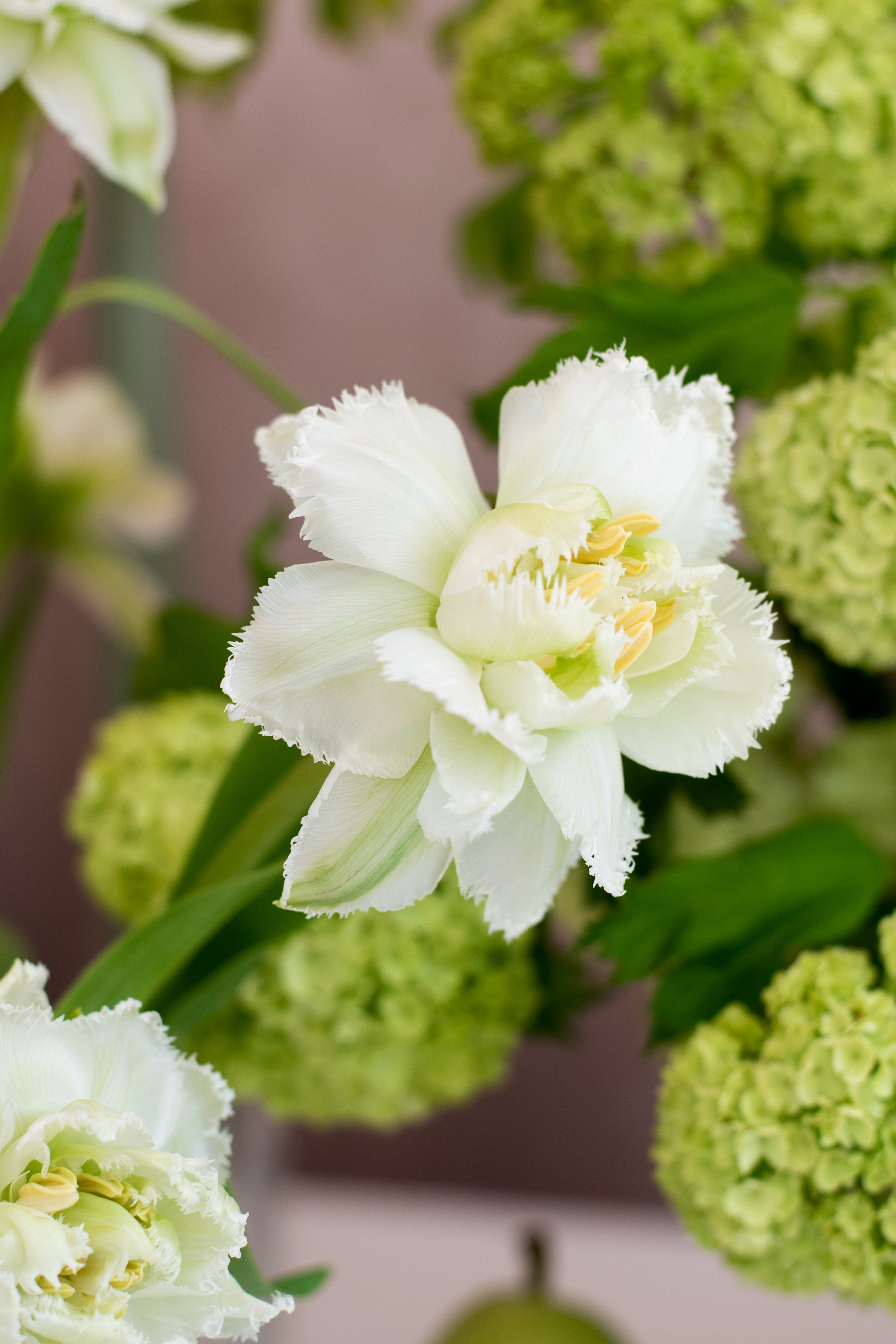 Springtime Styled Shoot