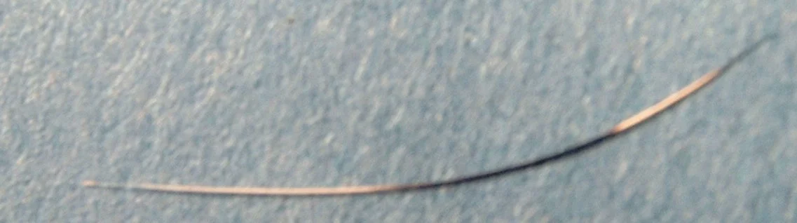 A close-up shot of agouti cat hair