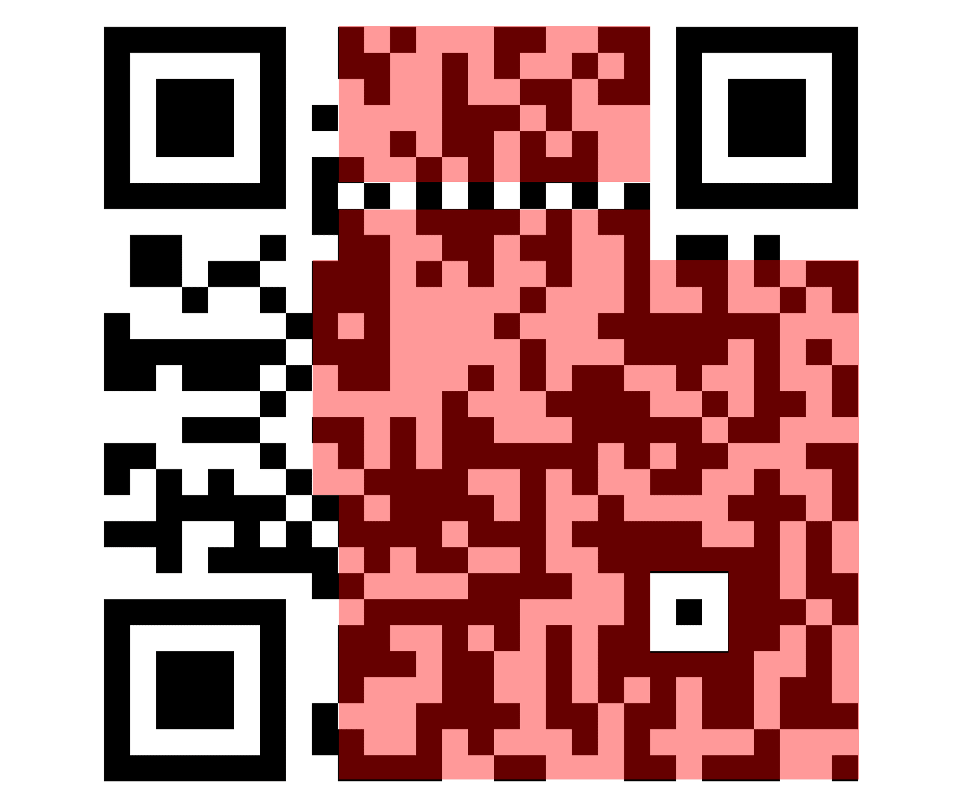 Data content on a QR code