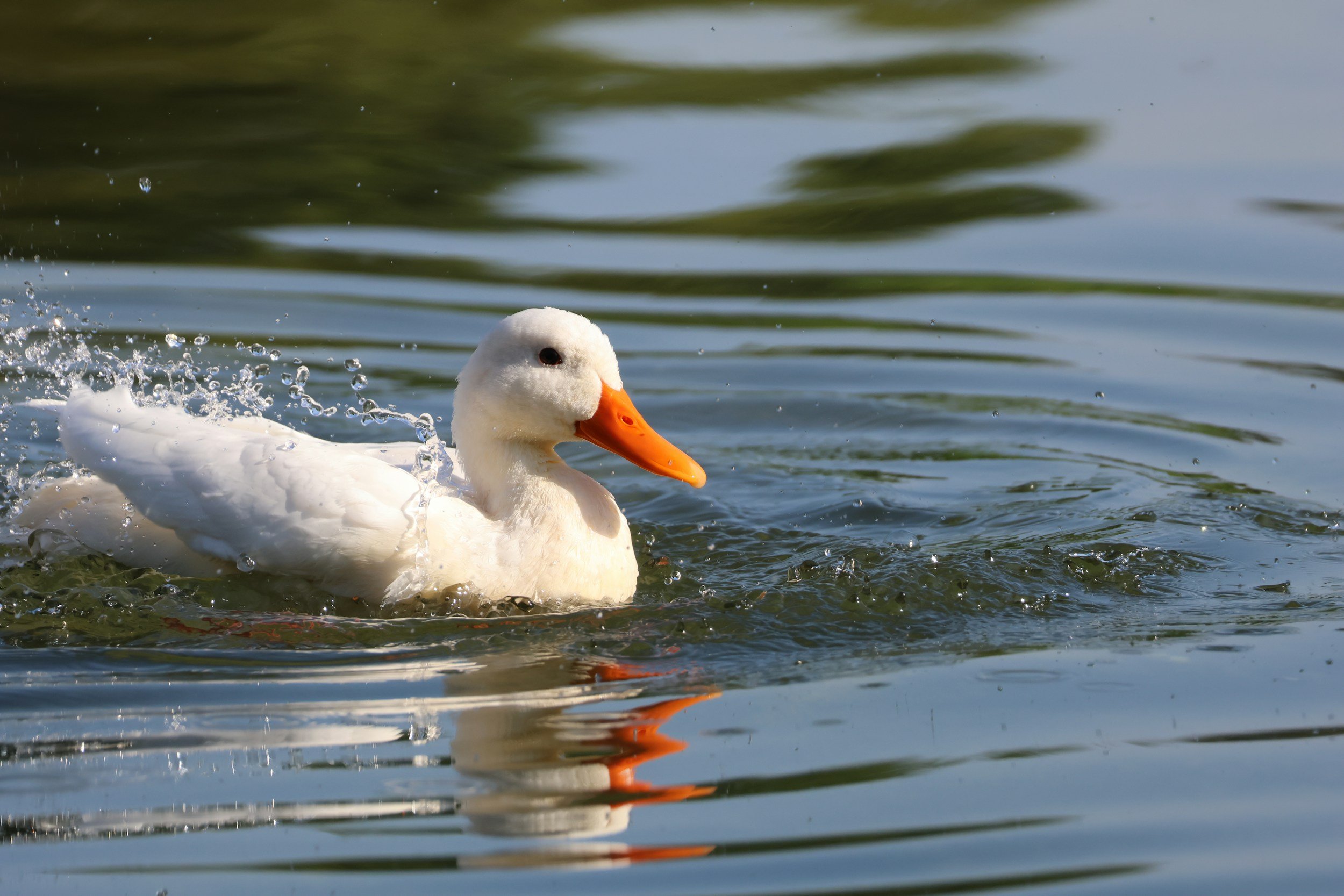 How does the Doppler effect work?