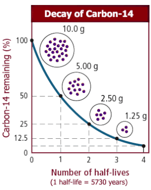 How does carbon dating work? — Today You Should Know