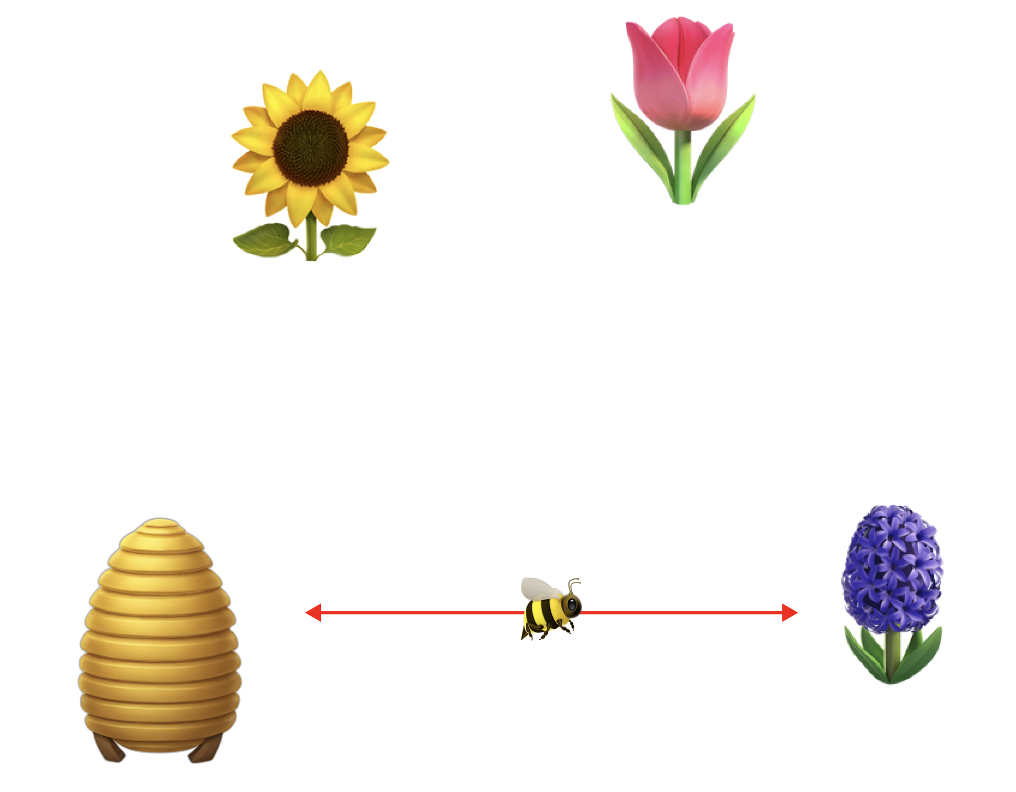 diagram showing a bee ignoring other plants and going directly back and forth from one