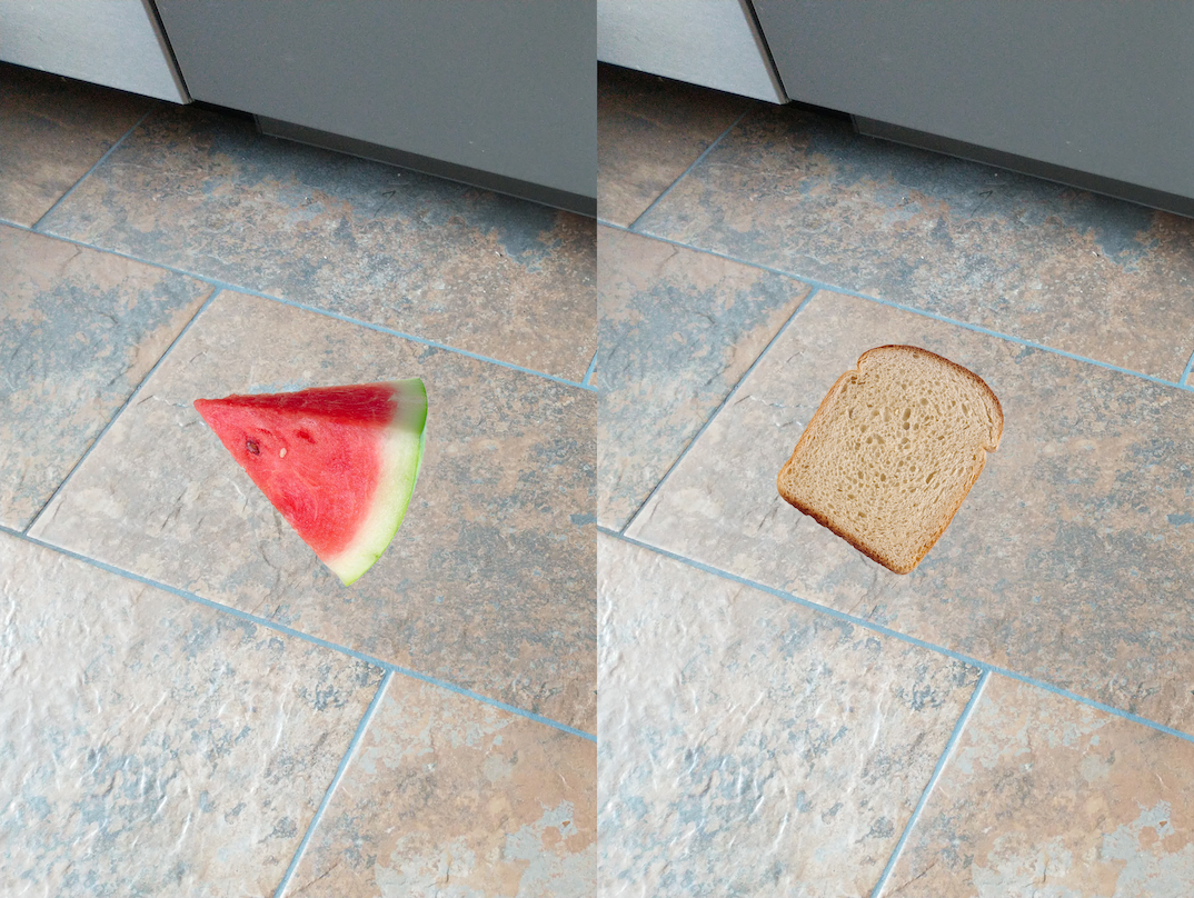Is the “five-second rule” legitimate?