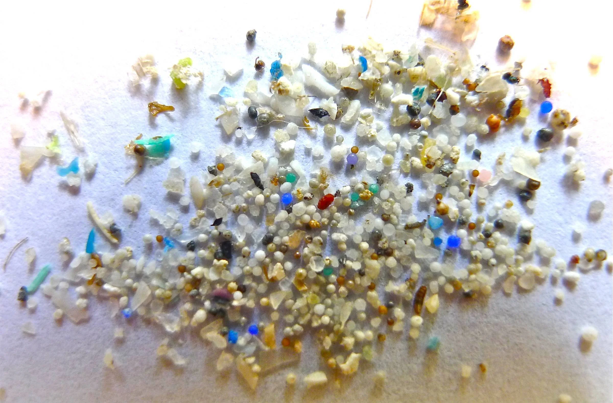 close-up of microplastics.