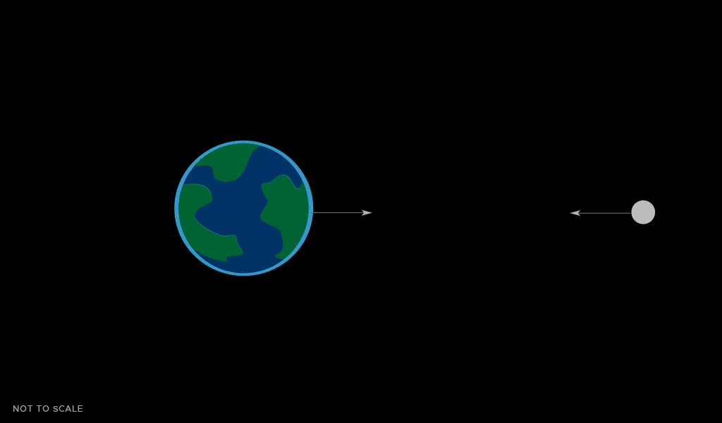 A GIF showing the relationship between the moon's gravity and tidal bulges.