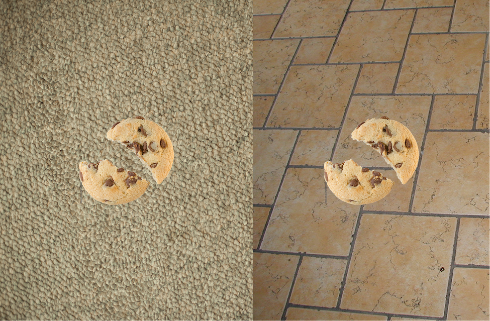Left a cookie dropped on carpet, right a cookie dropped on tile floor.