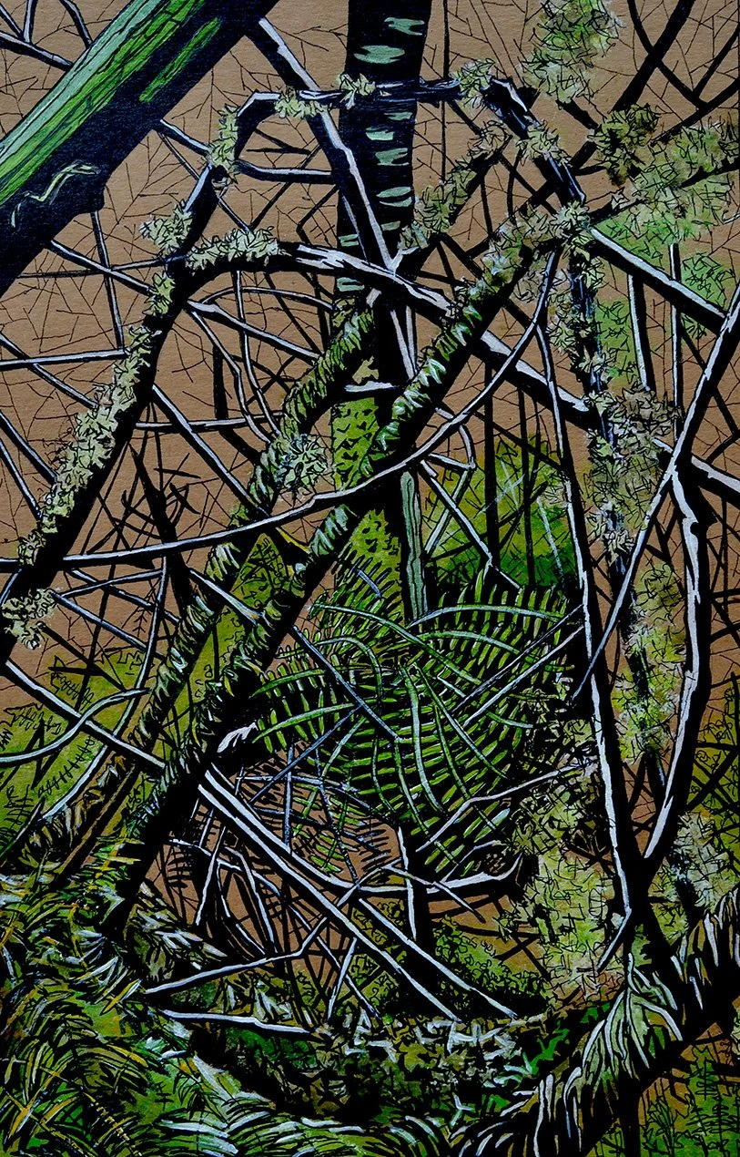 Windfallen branches