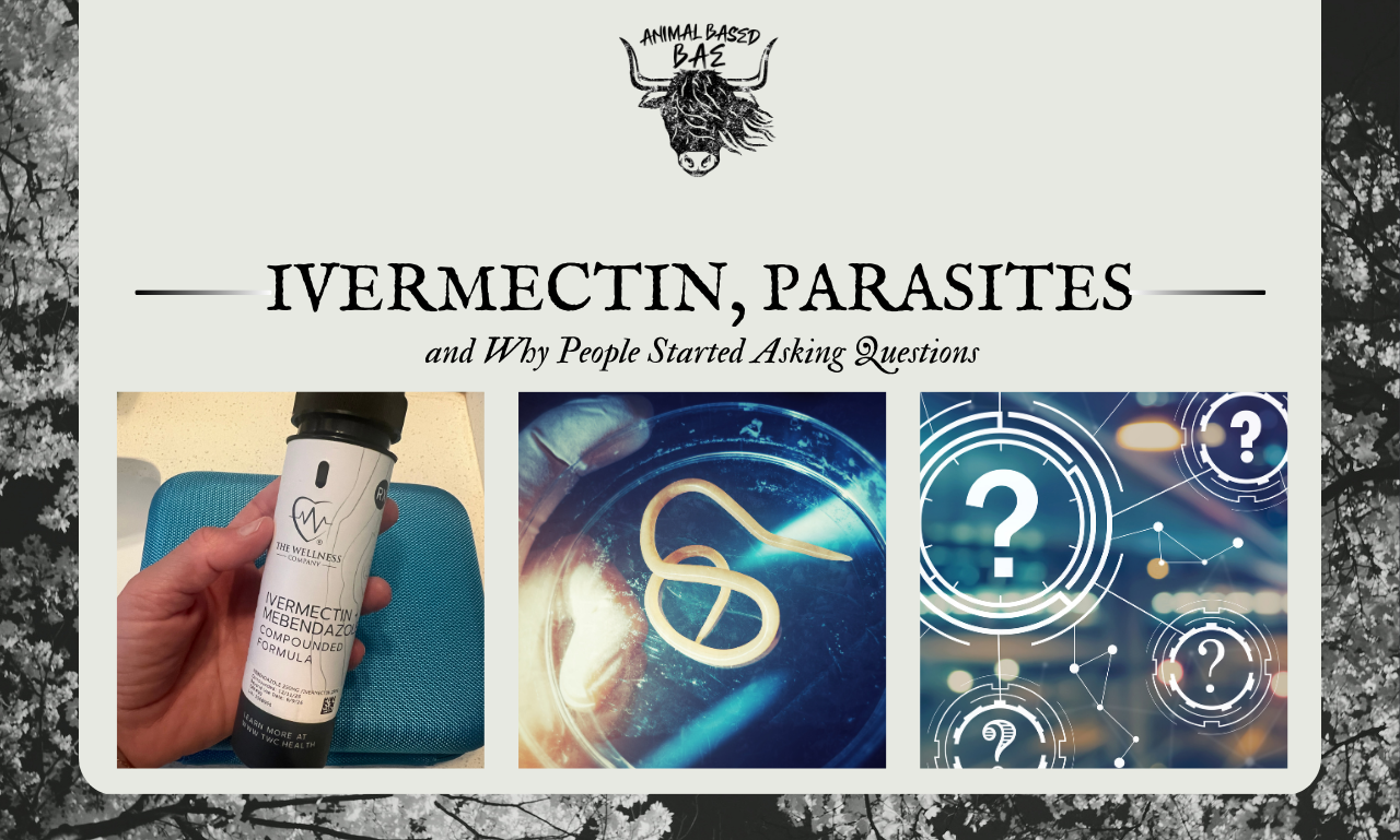 Questions Worth Asking