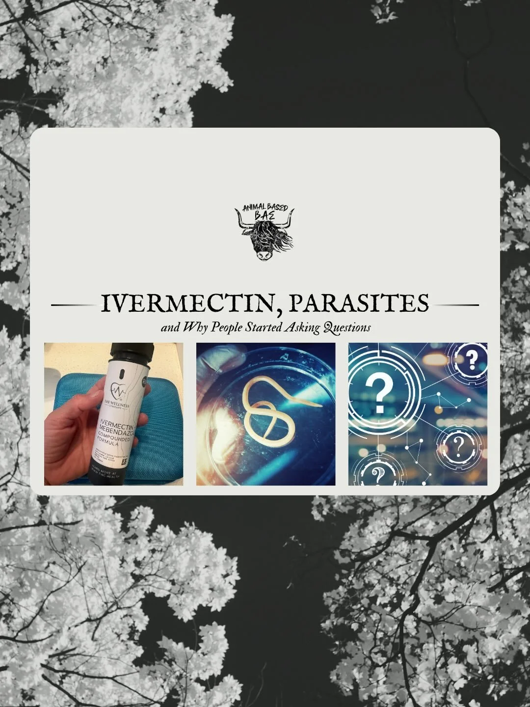 This post isn&rsquo;t advice.

It isn&rsquo;t a protocol.

And it definitely isn&rsquo;t a headline take.

It&rsquo;s about why a decades-old medication suddenly landed in the spotlight, what most people never learned about parasites, and how curiosi