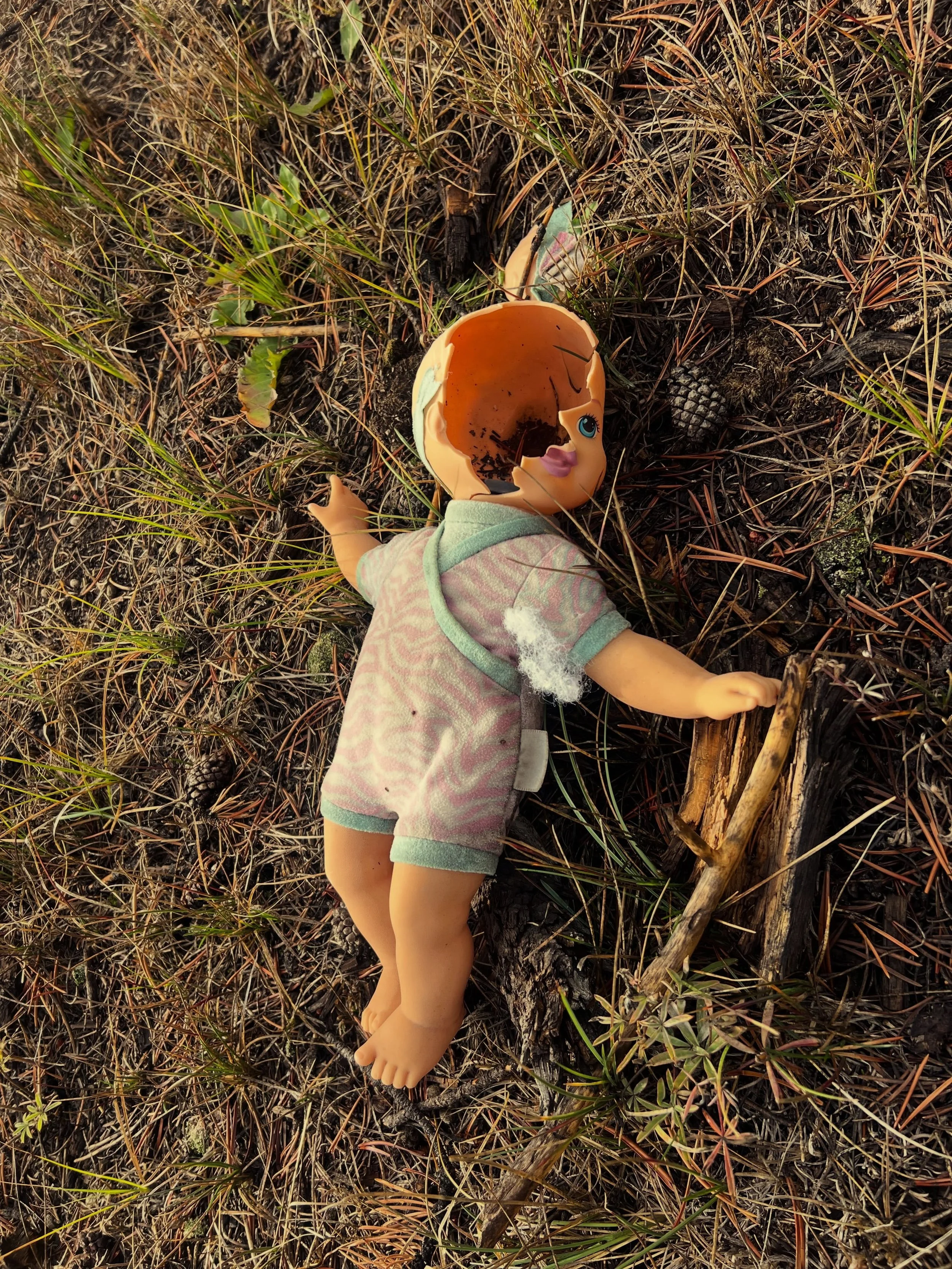 hello, October 🍂

&hellip;a deeply questionable baby doll relic on the trail.

moose on trails. moose on front porches. a coyote sighting.

also me trying to yoga in jeans and after many years of not yoga&rsquo; ing and still thinking I can pop up a