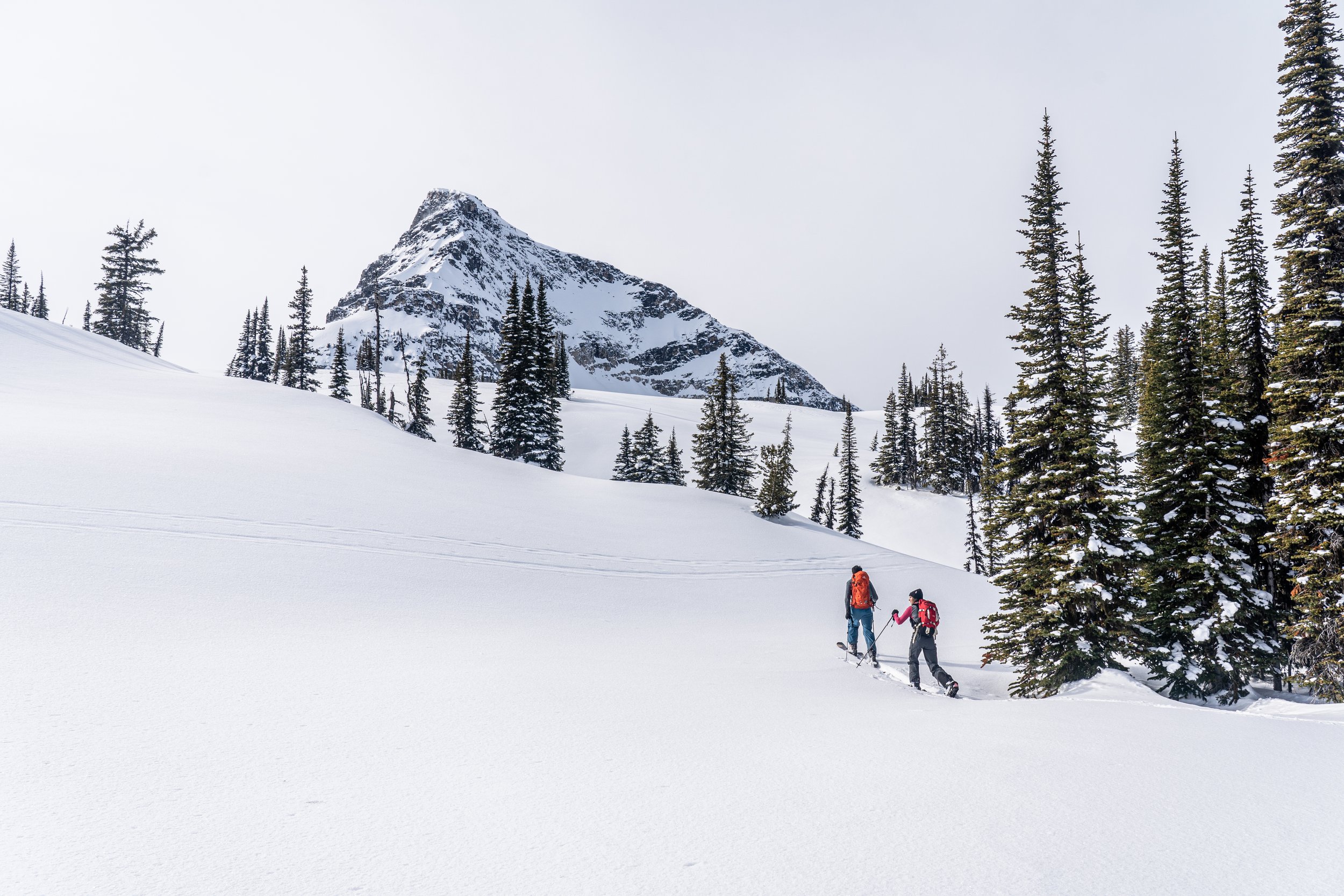 Hive & Co Property Management Revelstoke Inc.