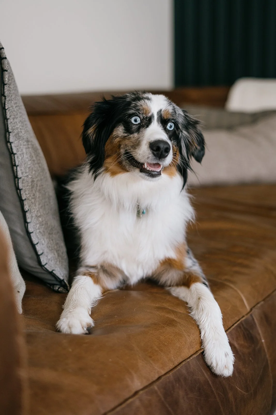 Meet the Team — Hive & Co Property Management Revelstoke Inc.