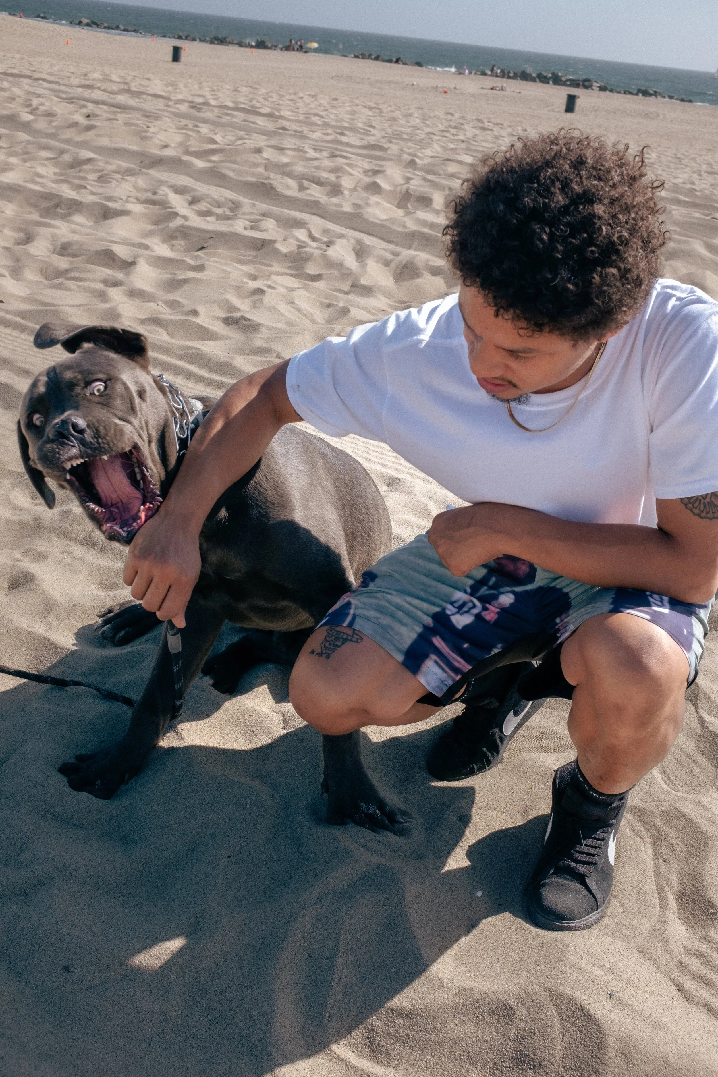 Hardies Hardware | Kevin Bradley