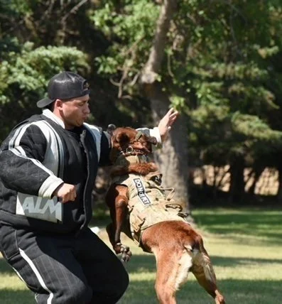 Street Level 1 (550th MP Detachment - MWD Section) Fort Bragg, NC.