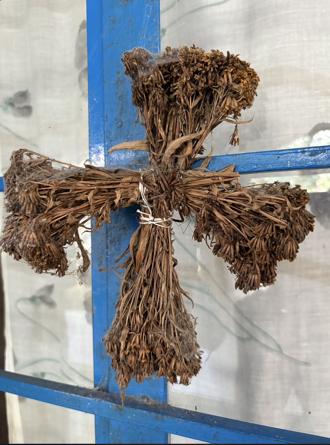 Screenshot 2026-02-19 at 9.49.50 AM.png