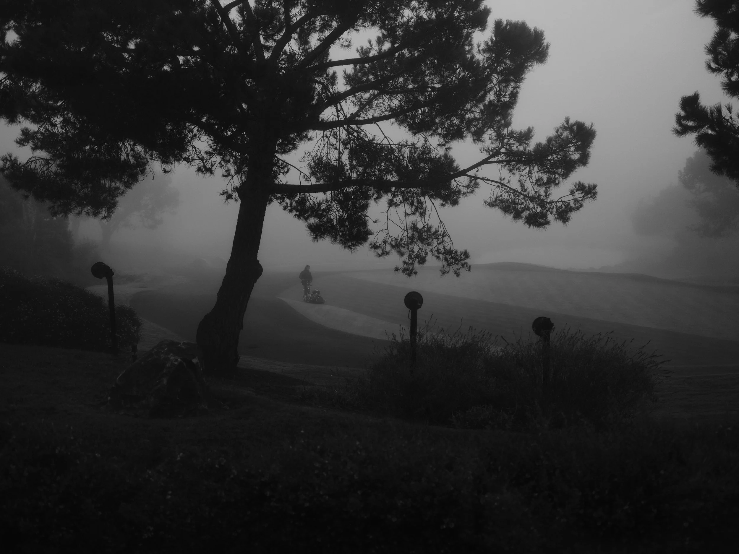 MA019550.JPG