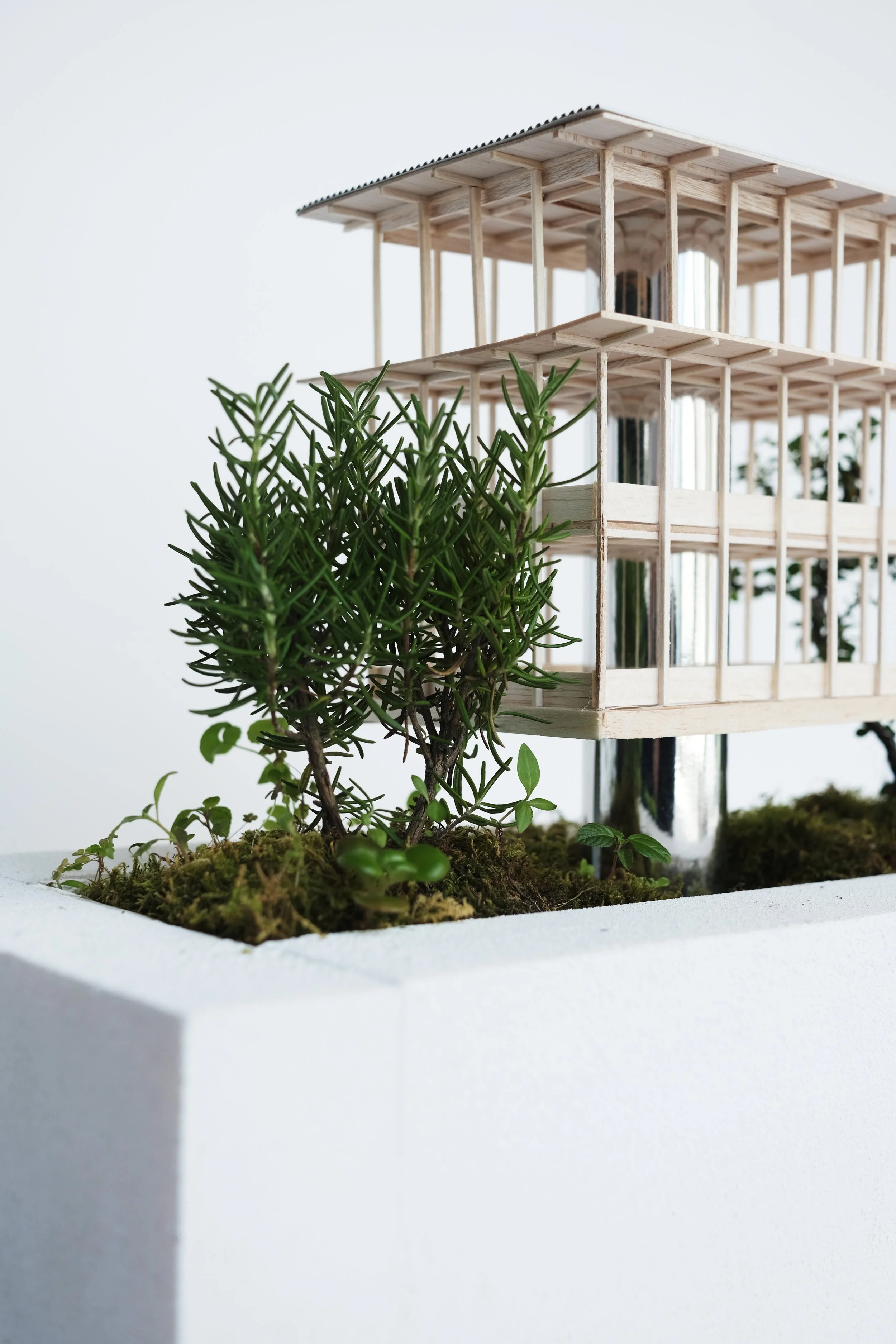 Miniature wooden architectural model of a multi-story building with a small garden of green plants in the foreground.