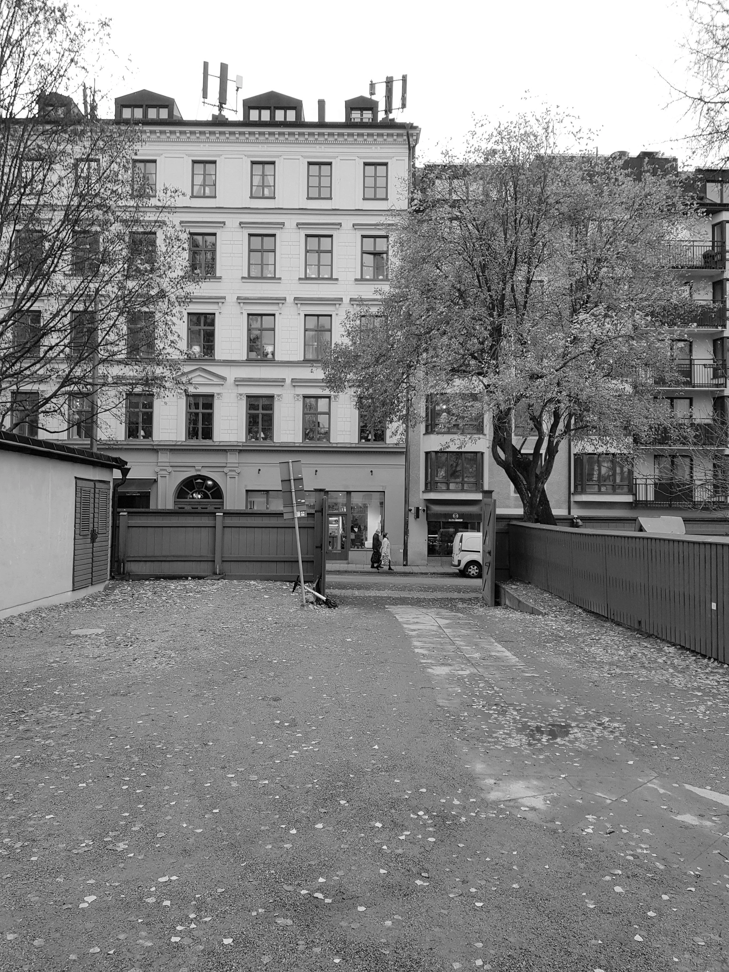 Black and white photograph of a city street view with a gravel path in the foreground, trees on both sides, multi-story buildings in the background, and a few pedestrians walking on the sidewalk.