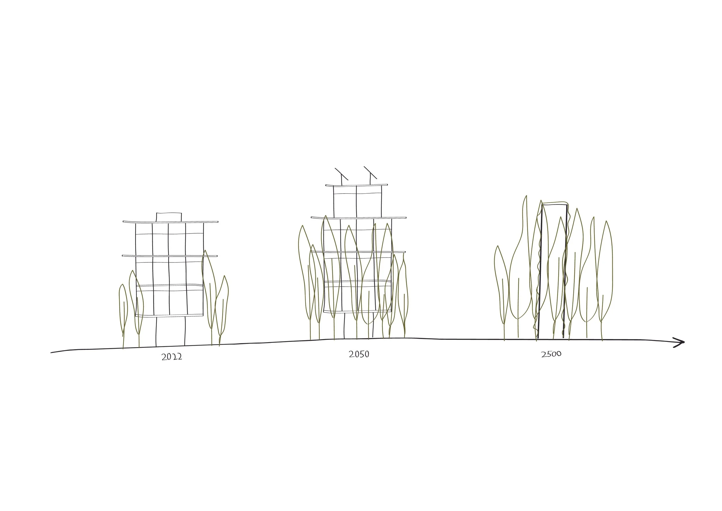 A line graph showing the growth of buildings from 2022 to 2500, with three different structures, labeled with years 2022, 2050, and 2500, and surrounded by tall, spindly trees.