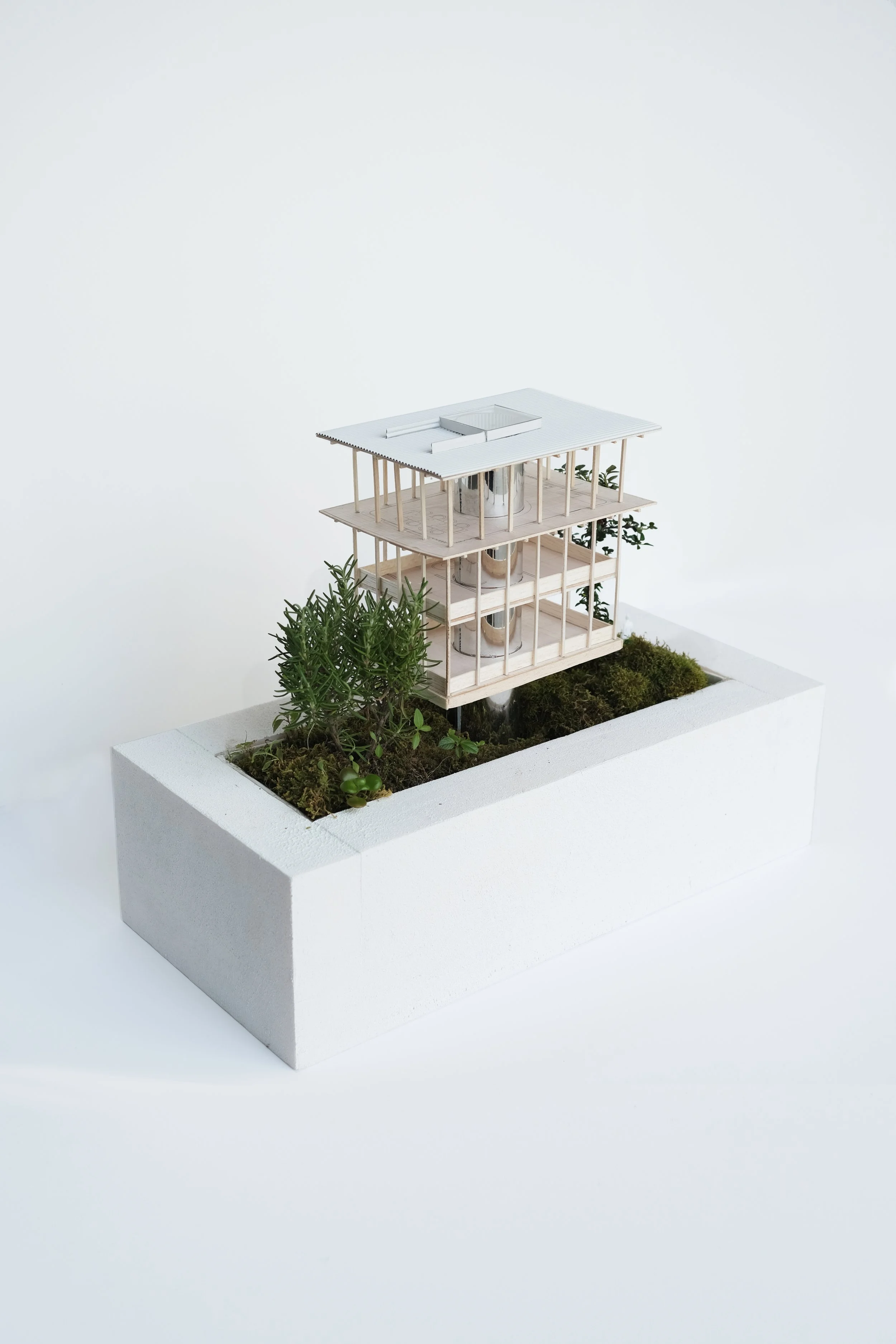 Miniature architectural model of a modern, two-story building with a flat roof, surrounded by small plants, set in a white rectangular container.