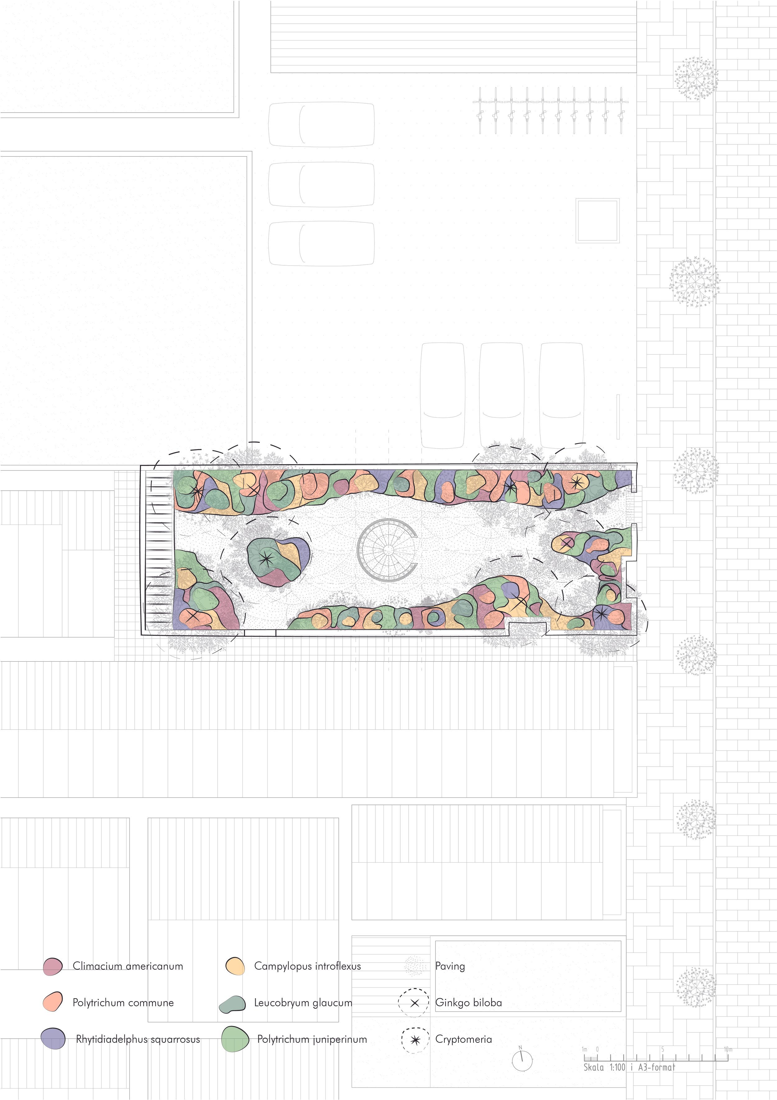 Landscape design plan with colorful plant beds, labeled plant species, parking area, pathway, and decorative elements.