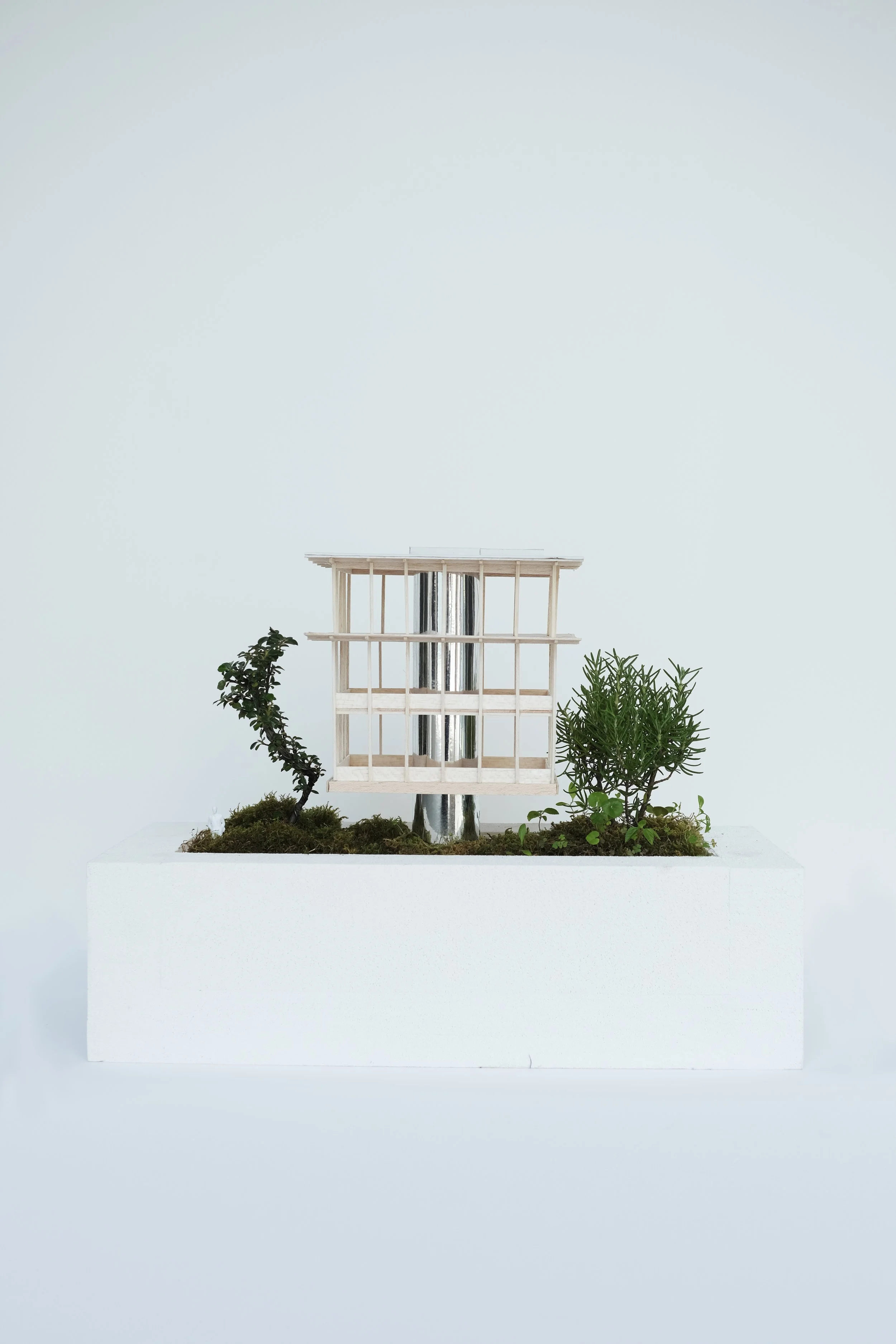 Miniature house model with wooden frame and translucent walls, surrounded by small green plants, placed in a white display box with a tall metal pole behind it.