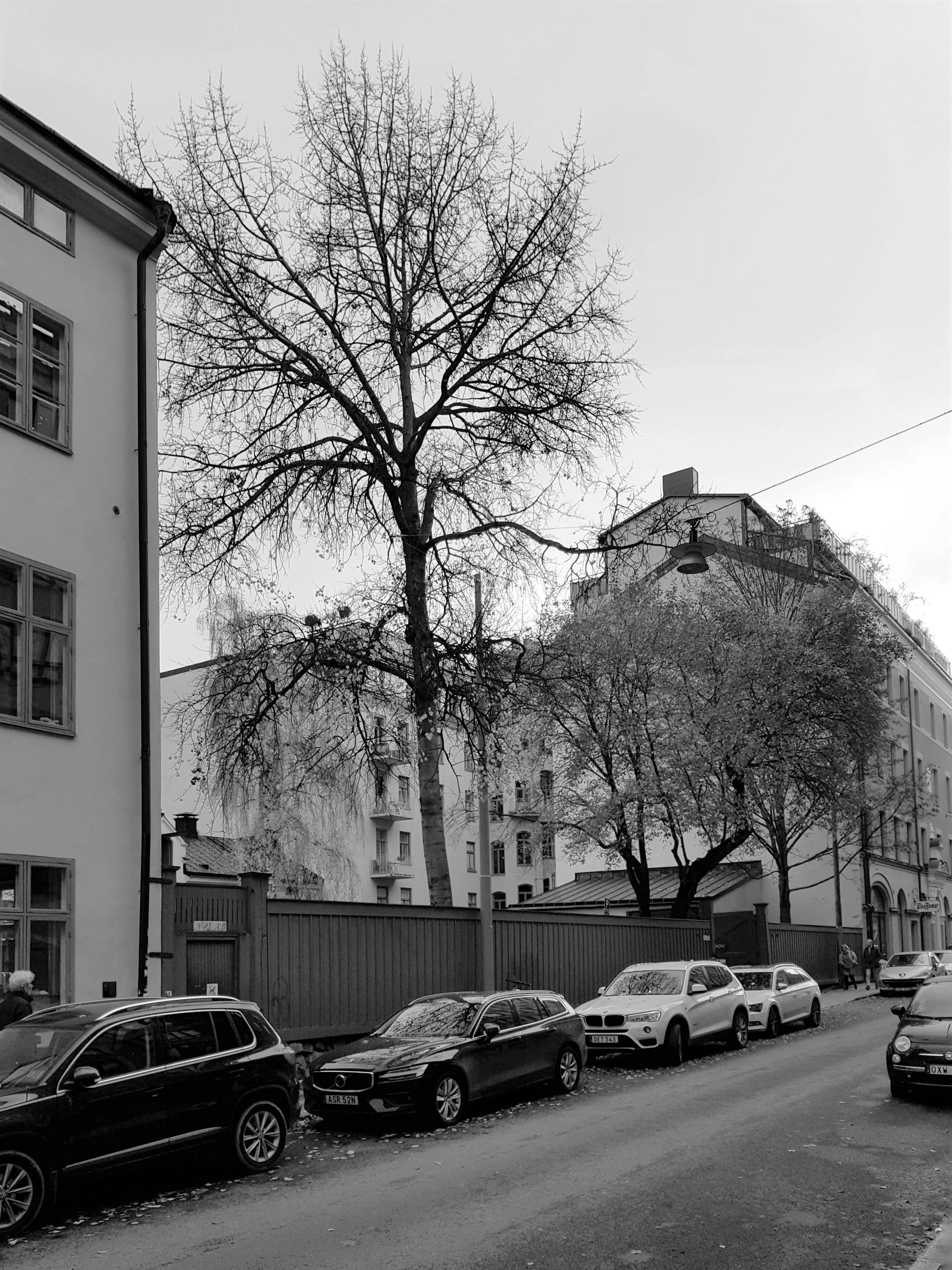 Black and white photo of cars parked along a city street, building facades, and leafless trees.