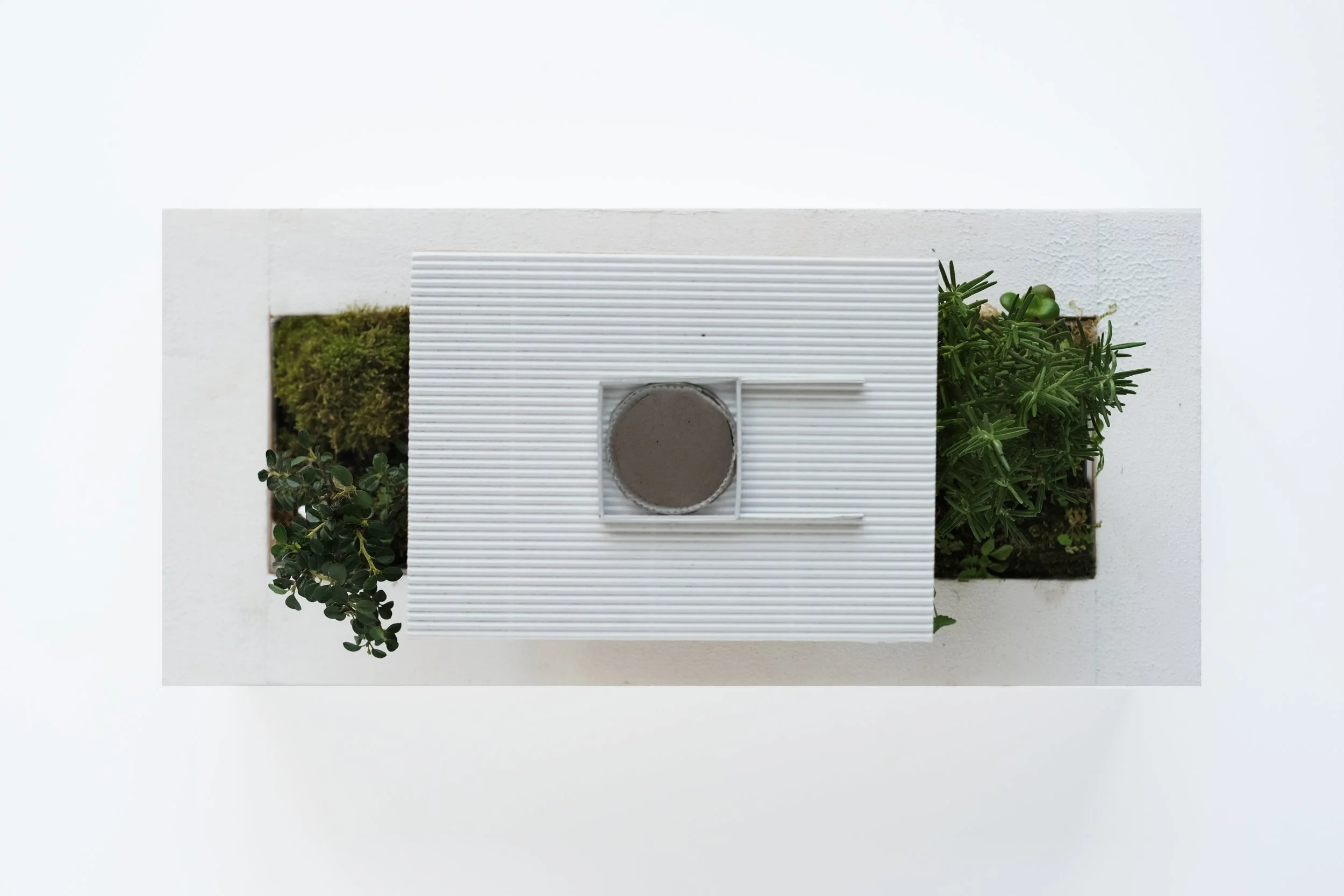 A white architectural model featuring a circular cut-out window, surrounded by green plants, with a white textured wall background.