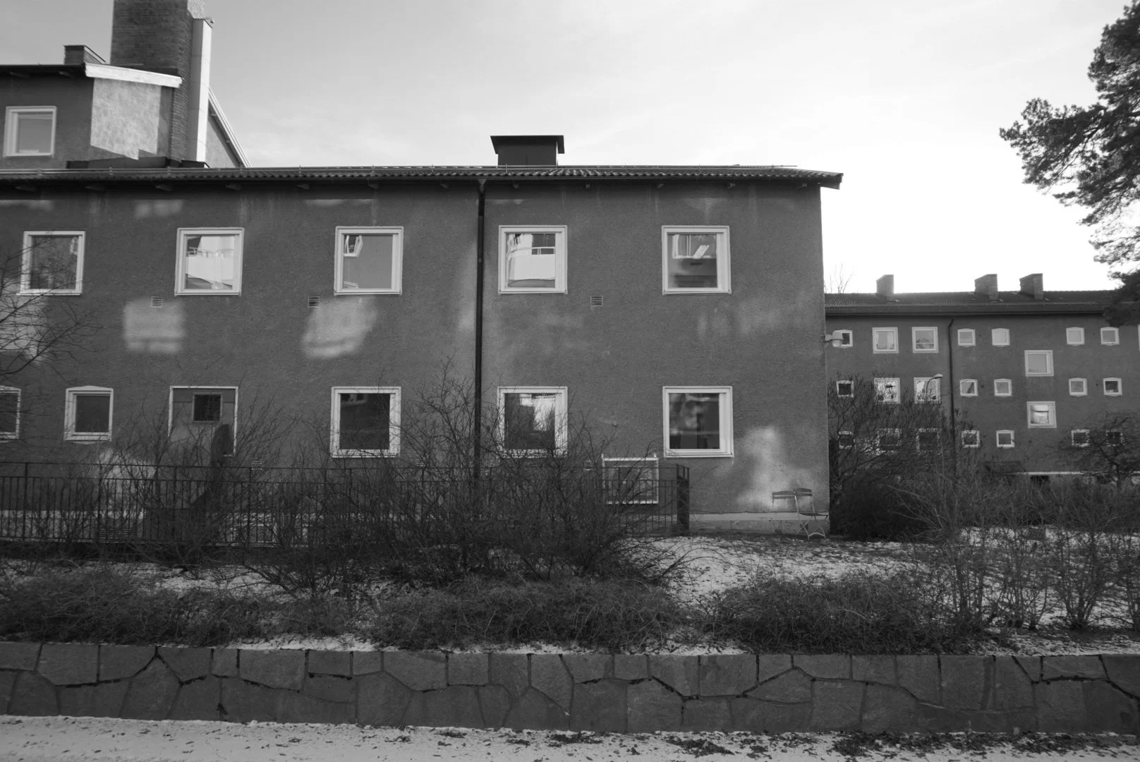 Black and white photo of a residential apartment building with multiple windows, some open, surrounded by leafless bushes and trees, with a stone wall at the front.