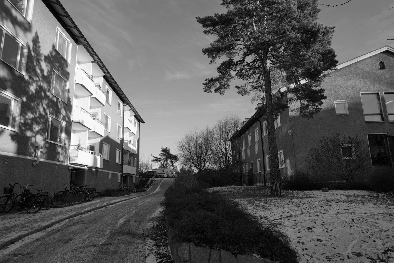 A black and white photo of a residential apartment complex with parked bicycles, large trees, and a small yard with patches of snow.