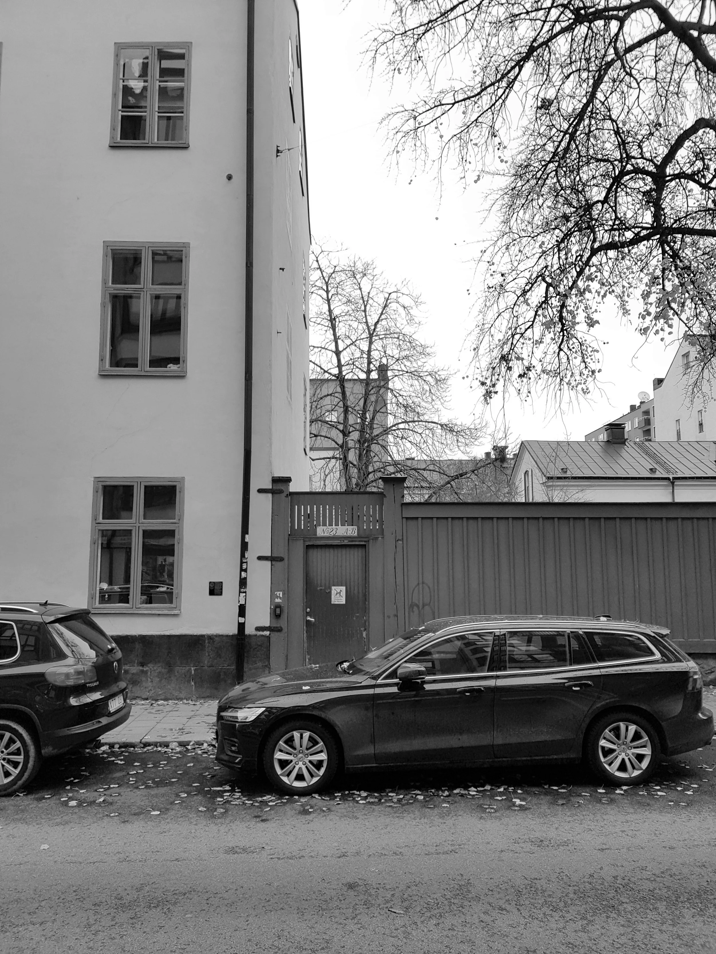 Black sedans parked on the street in front of a building with multiple windows, and leafless trees in the background, during autumn or winter in a city.