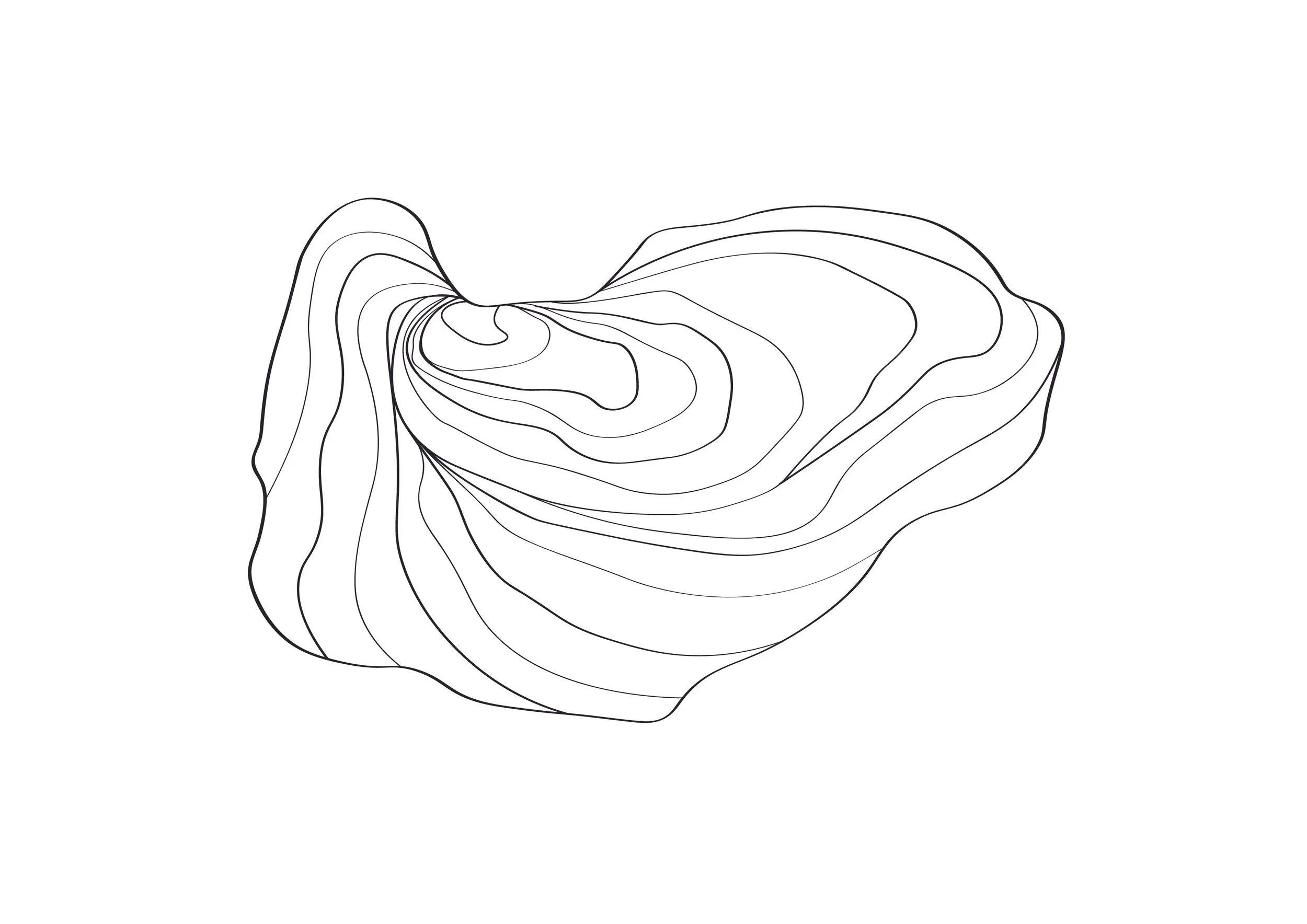 Line drawing of a 3D topographic map with contour lines forming a hollowed-out shape.