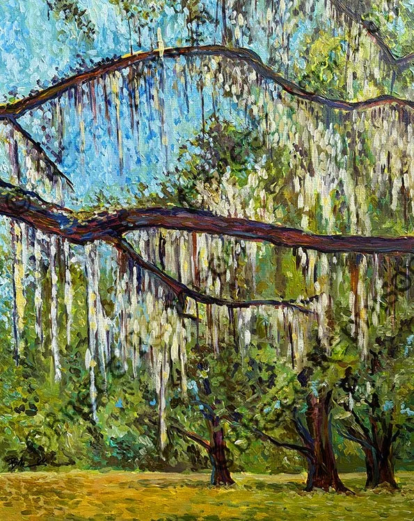 SpanishMossCR.jpg