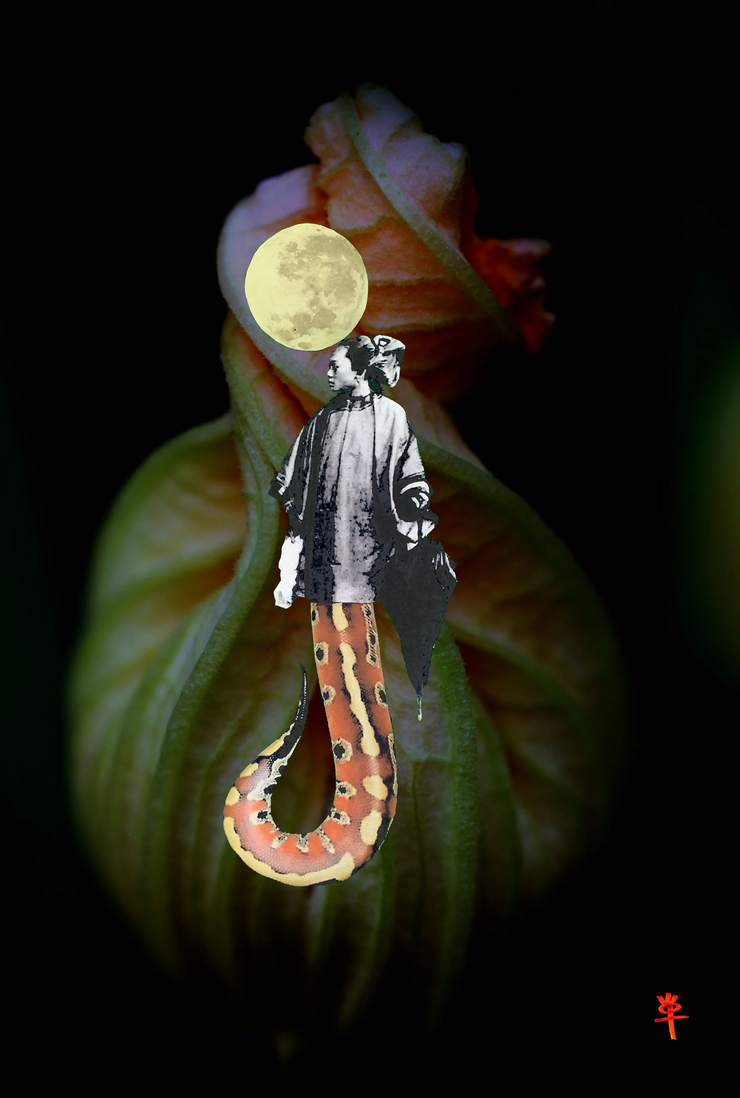 Yin Wood Snake: A Strange Unfurling