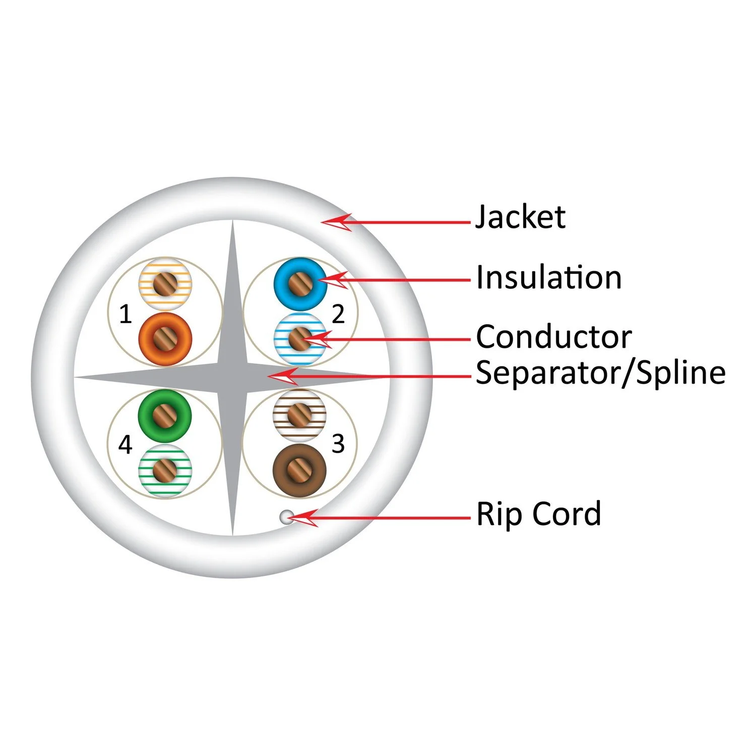 Vertical Cat6 CMR — product view 4