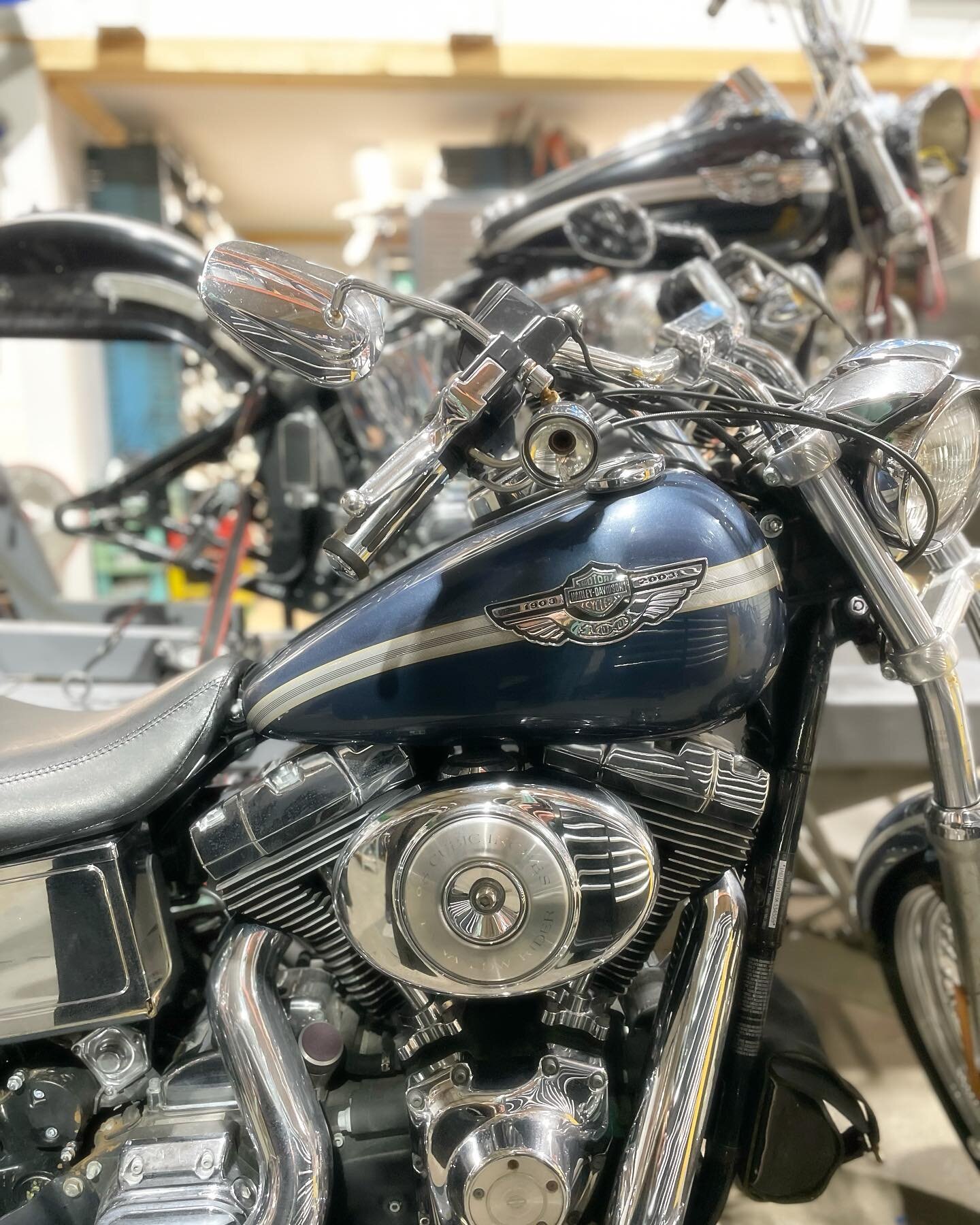 Tons of 100th Anniversary Edition Harley parts for sale on our eBay store! Vivid Black Softail Deuce on the lift and a Gunmetal Pearl Dyna Low Rider up front. #motorcyclesalvage #harleydyna #harleydynalowrider #softaildeuce #harleysoftail #fxdl #fxst