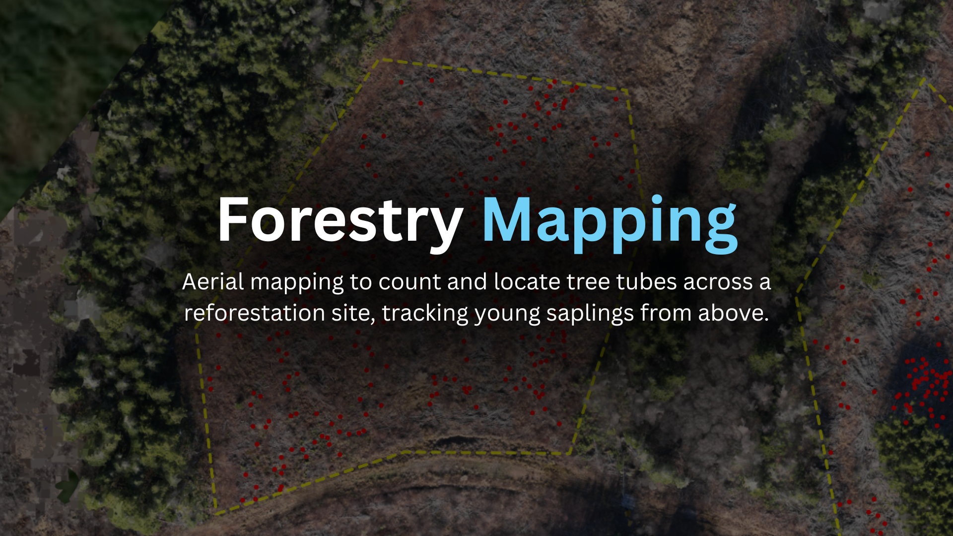 Forestry Mapping