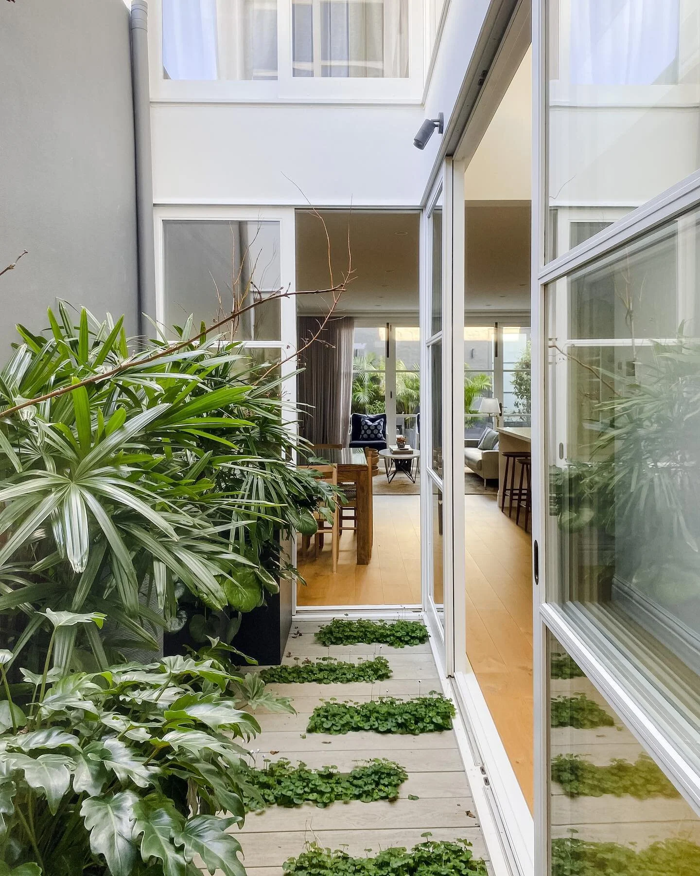A little slice of paradise in this inner city terrace 🌿🌱🍁

Builder: @venice_projects_ 
Architect: Marianne Halmos
Landscape Design: @eglandscapes_and_construction 
Interiors Design: @stephaniechuinteriors